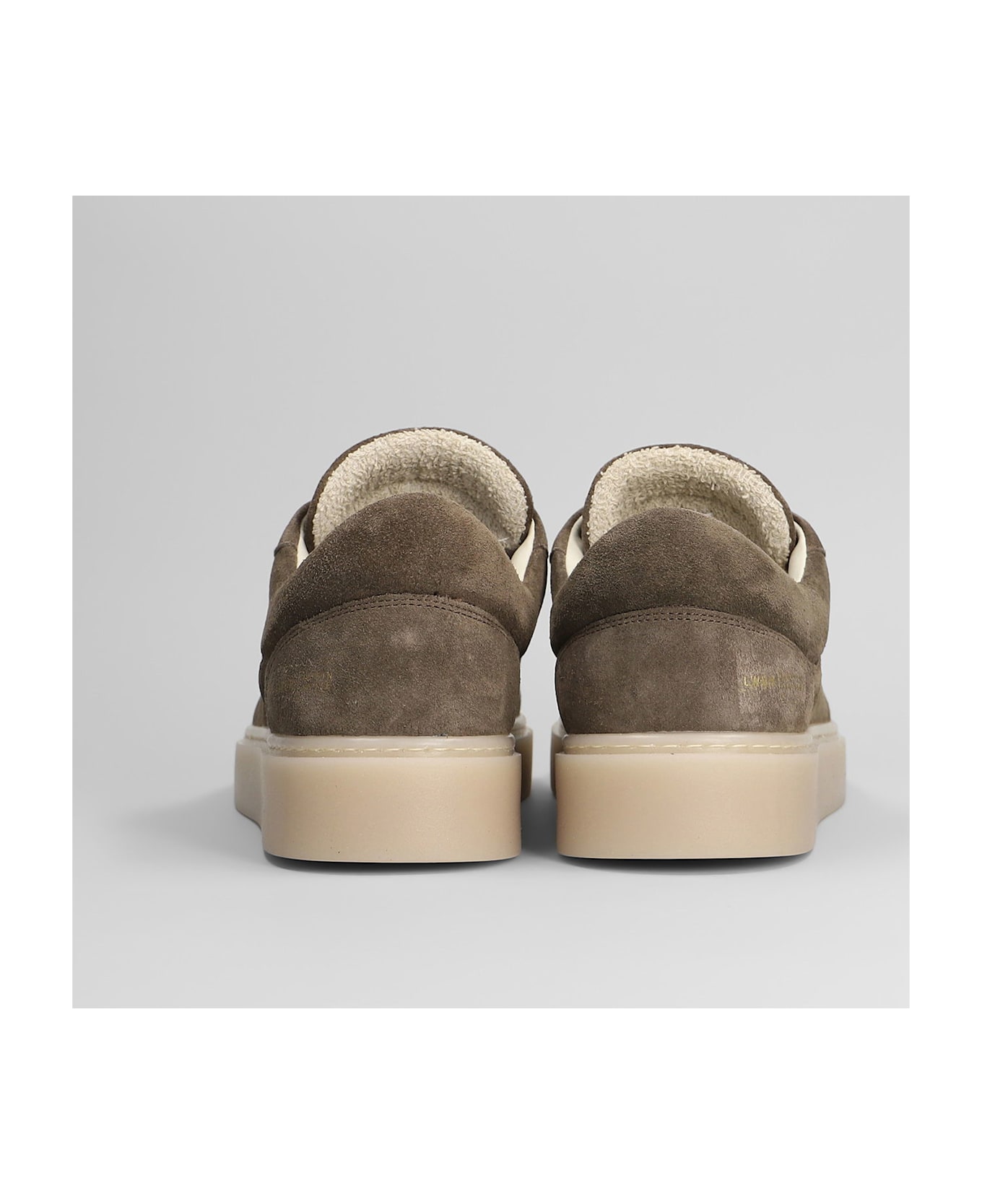 Low Brand Fly Sneakers In Taupe Suede - taupe