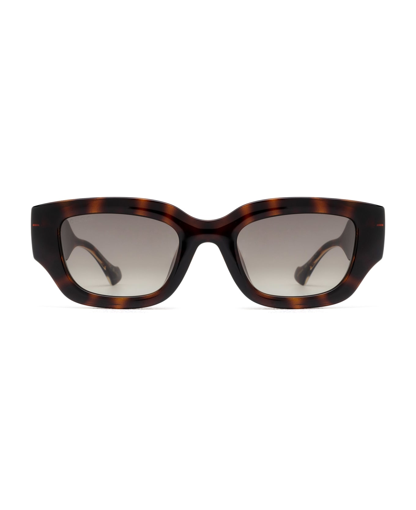 Gucci Eyewear Gg1558sk Havana Sunglasses - Havana