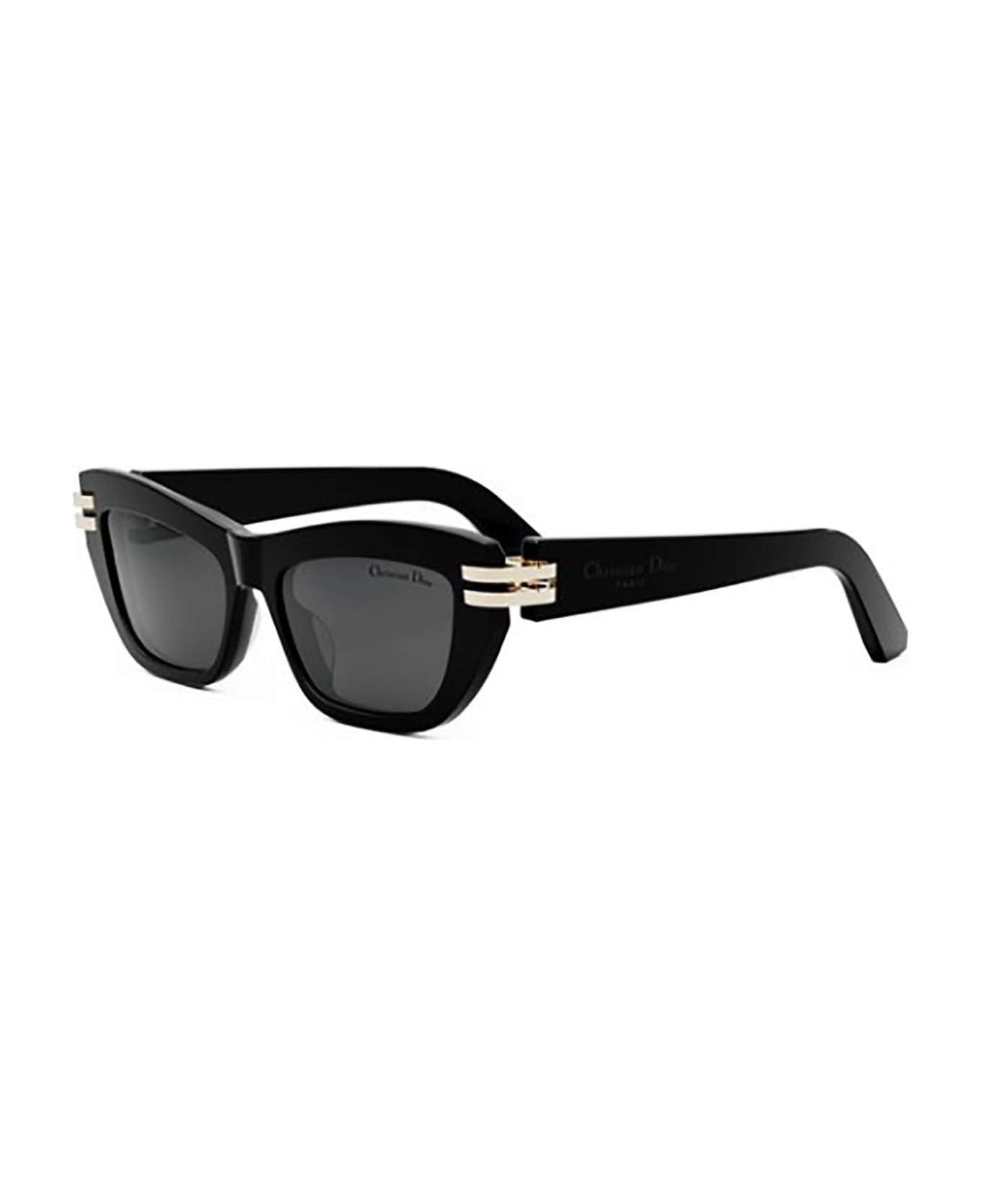 Dior CDIOR B2U Sunglasses