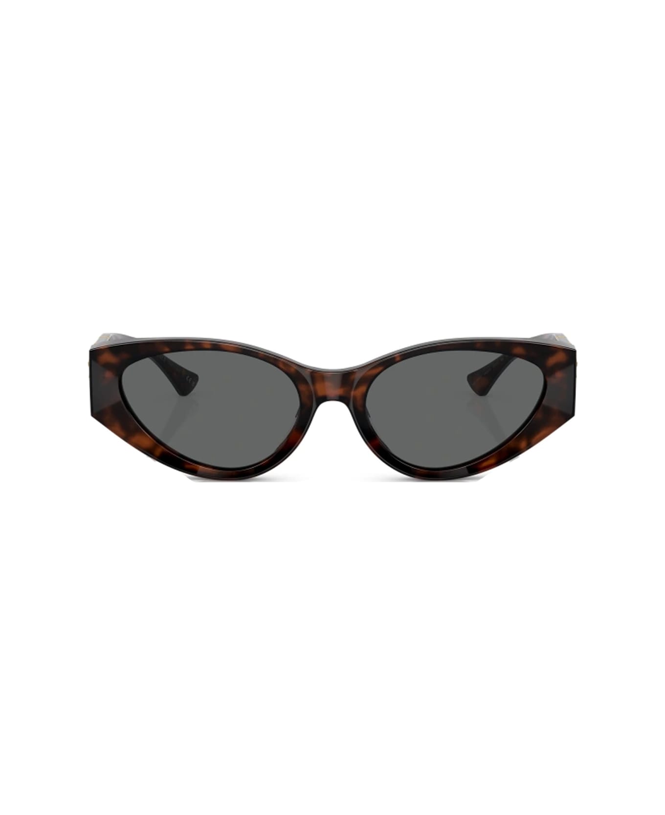 Versace Eyewear Ve4454 542987 Sunglasses - Marrone サングラス