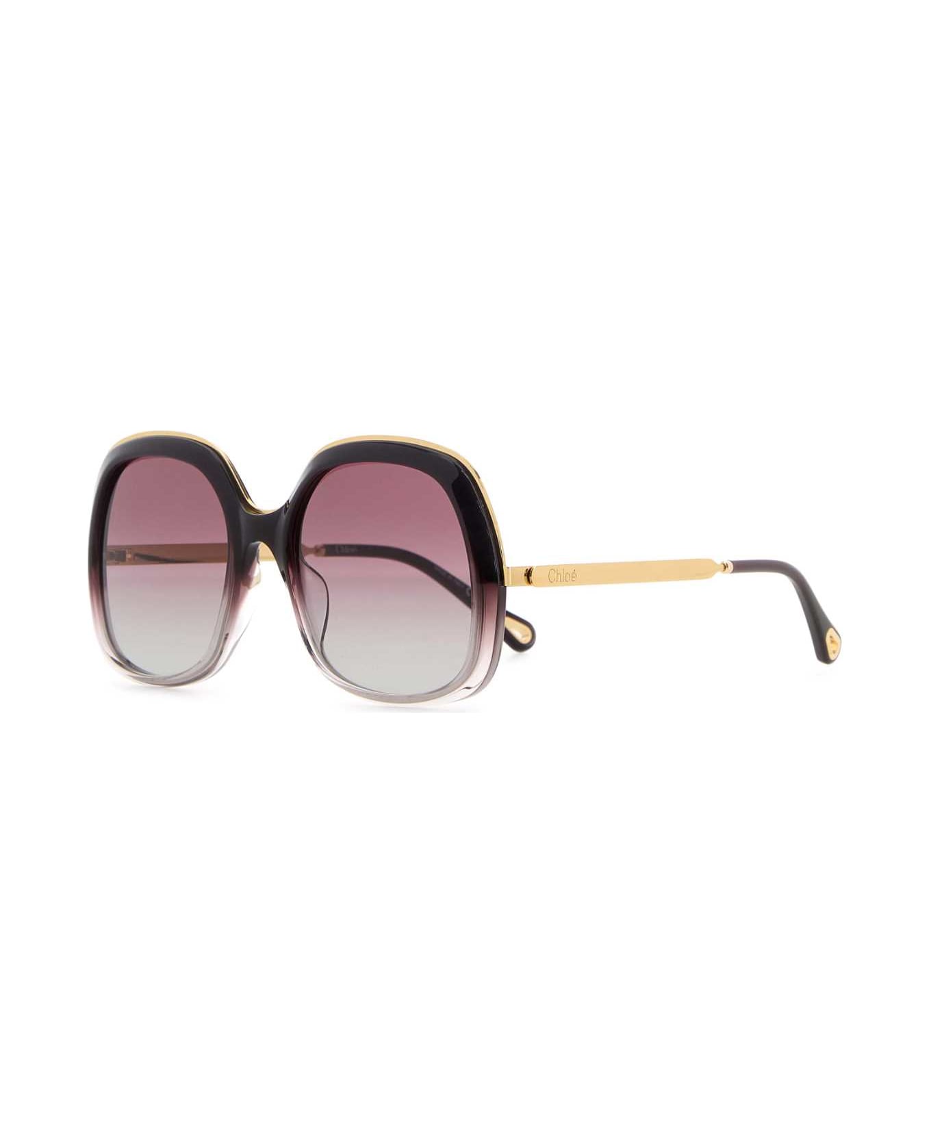 Chloé Purple Acetate Sunglasses - BURGUNDYGOLDRED