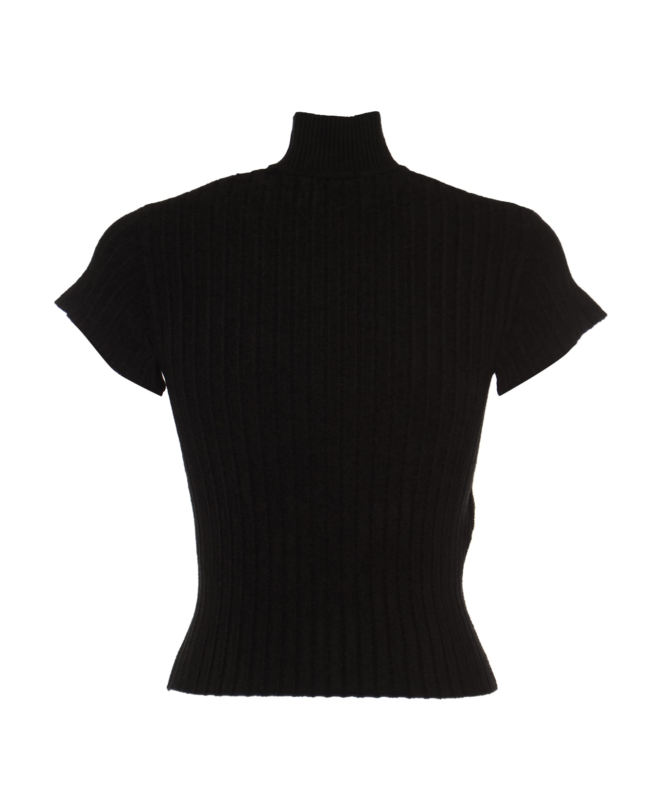 Alberta Ferretti High-neck Shortsleeved Knit Top - Black ニットウェア