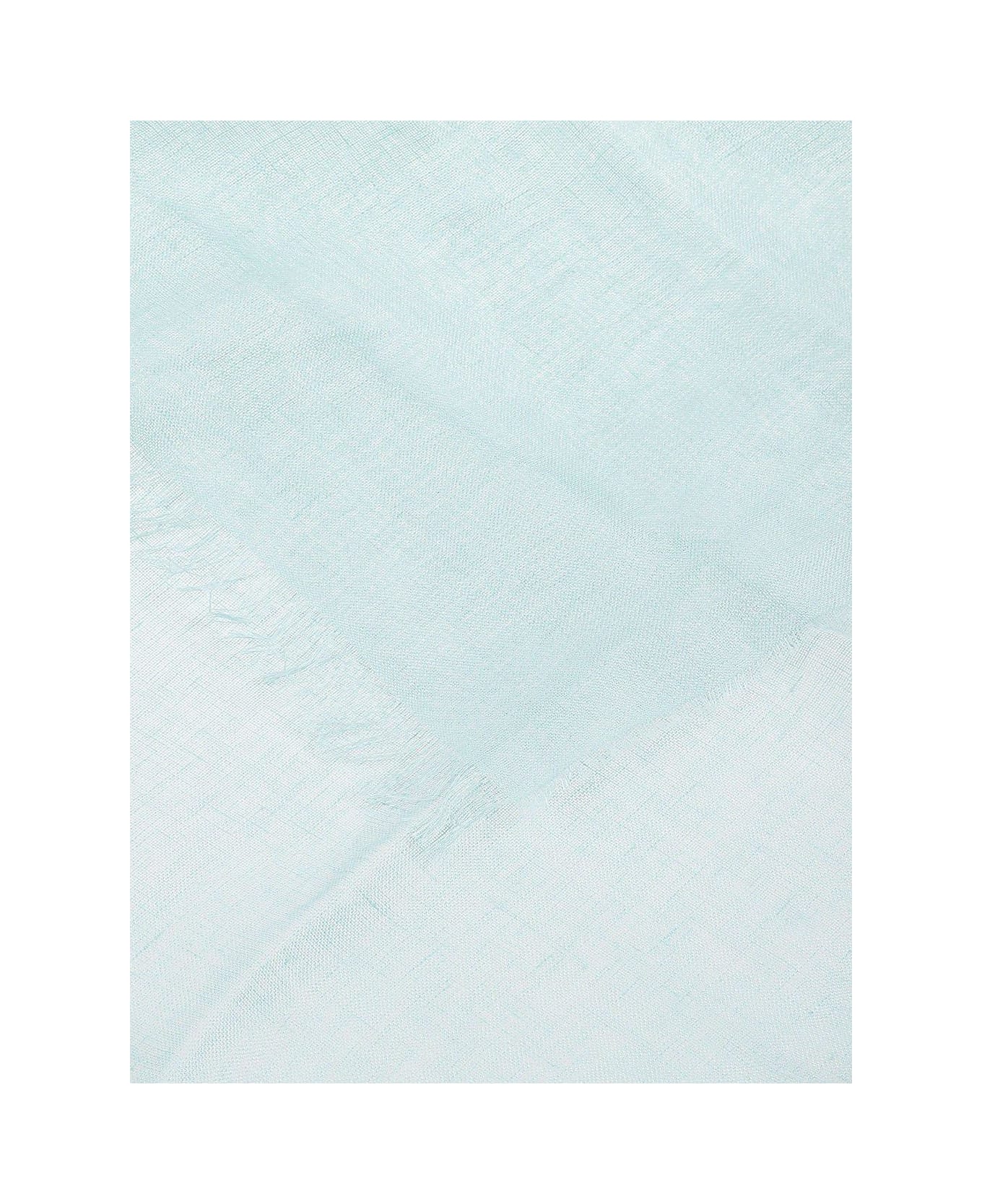 Weekend Max Mara Butterfly Embroidered Stole - Azzurro