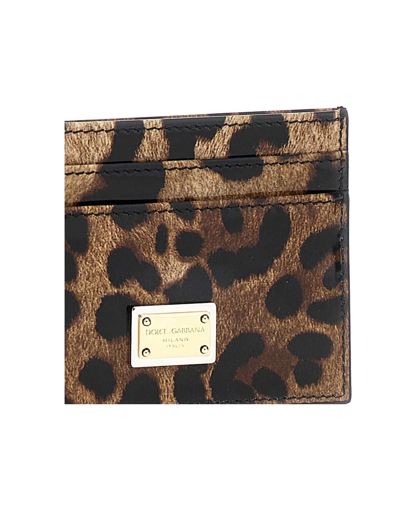Dolce & Gabbana Leopard Print Card Holder - Multicolor