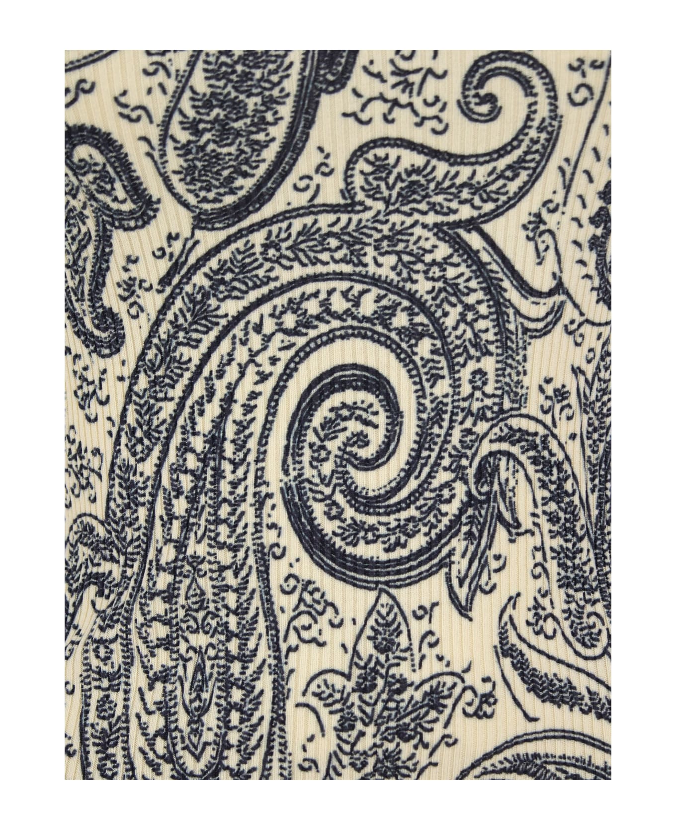 Etro Crew-neck Sweater With Paisley Pattern - Beige/blue