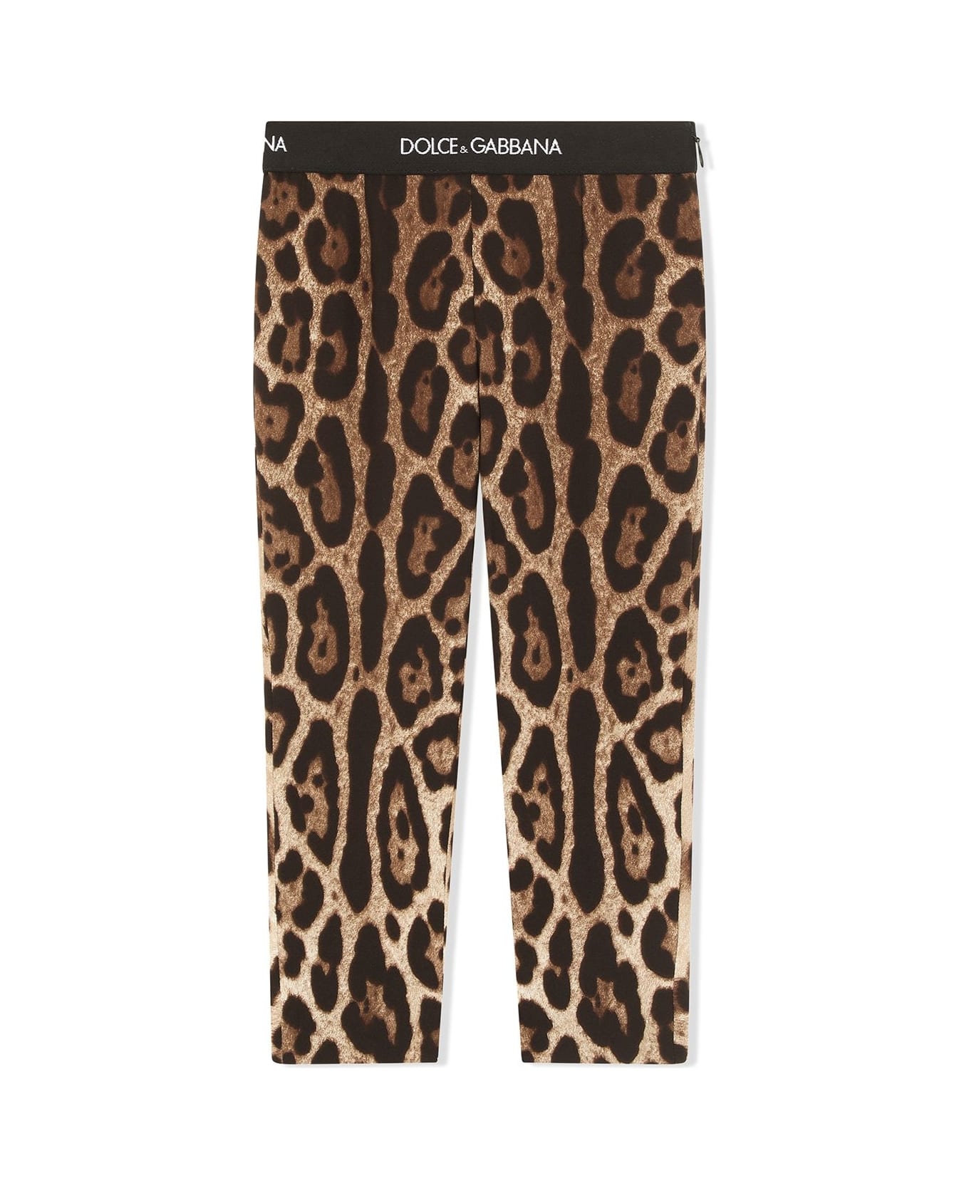 Dolce & Gabbana Leggings Con Stampa - Brown