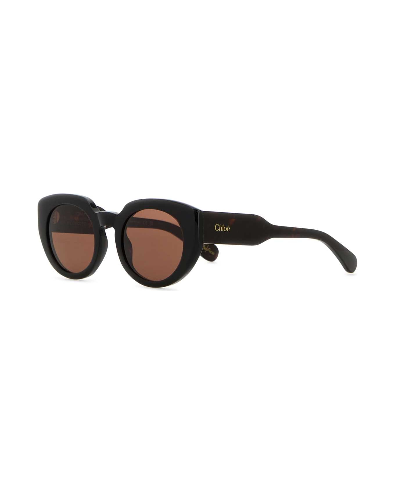 Chloé Dark Brown Acetate Gayia Sunglasses - HAVANA-HAVANA-BROWN