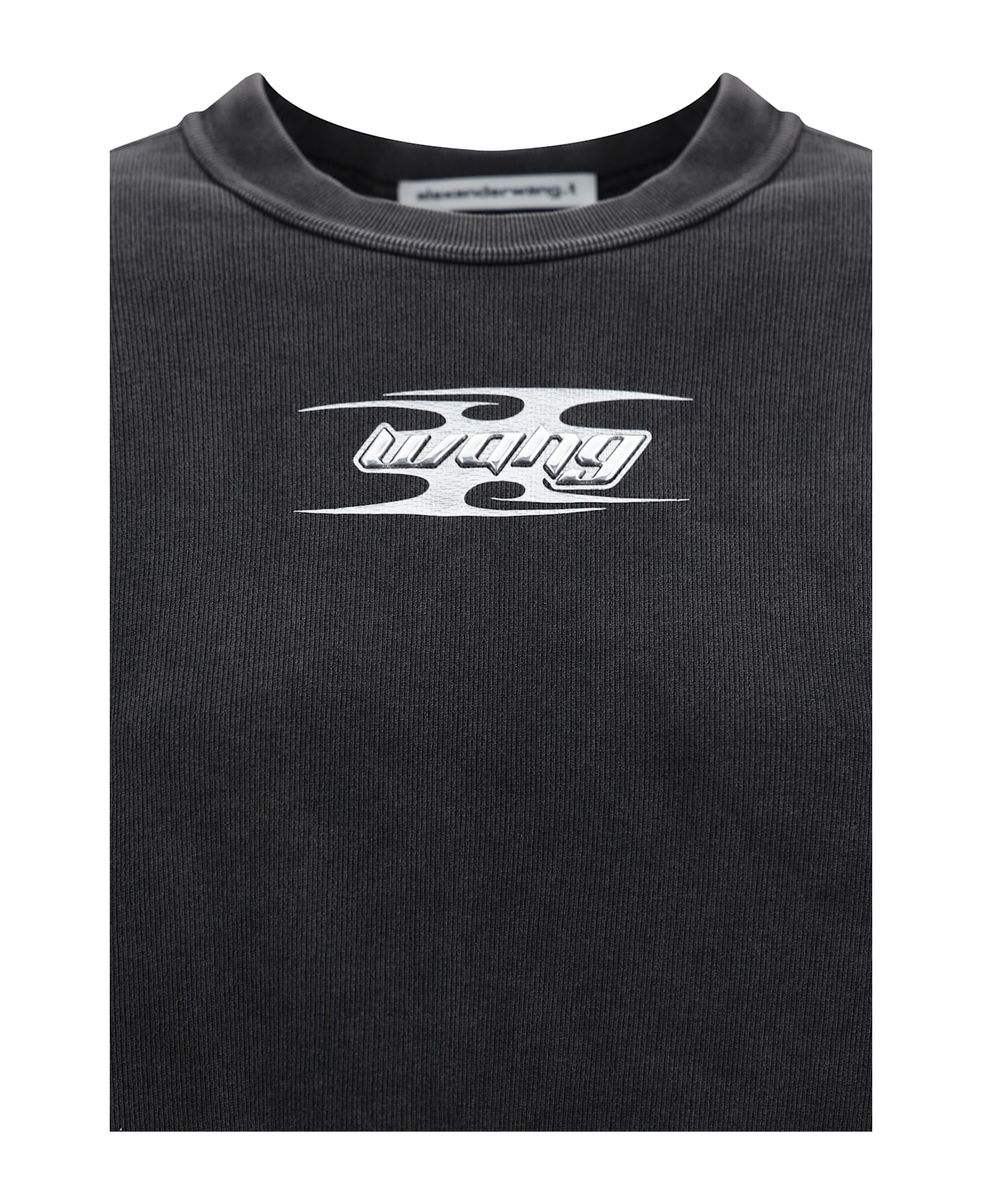 Alexander Wang Sweatshirt - Washed Cedar
