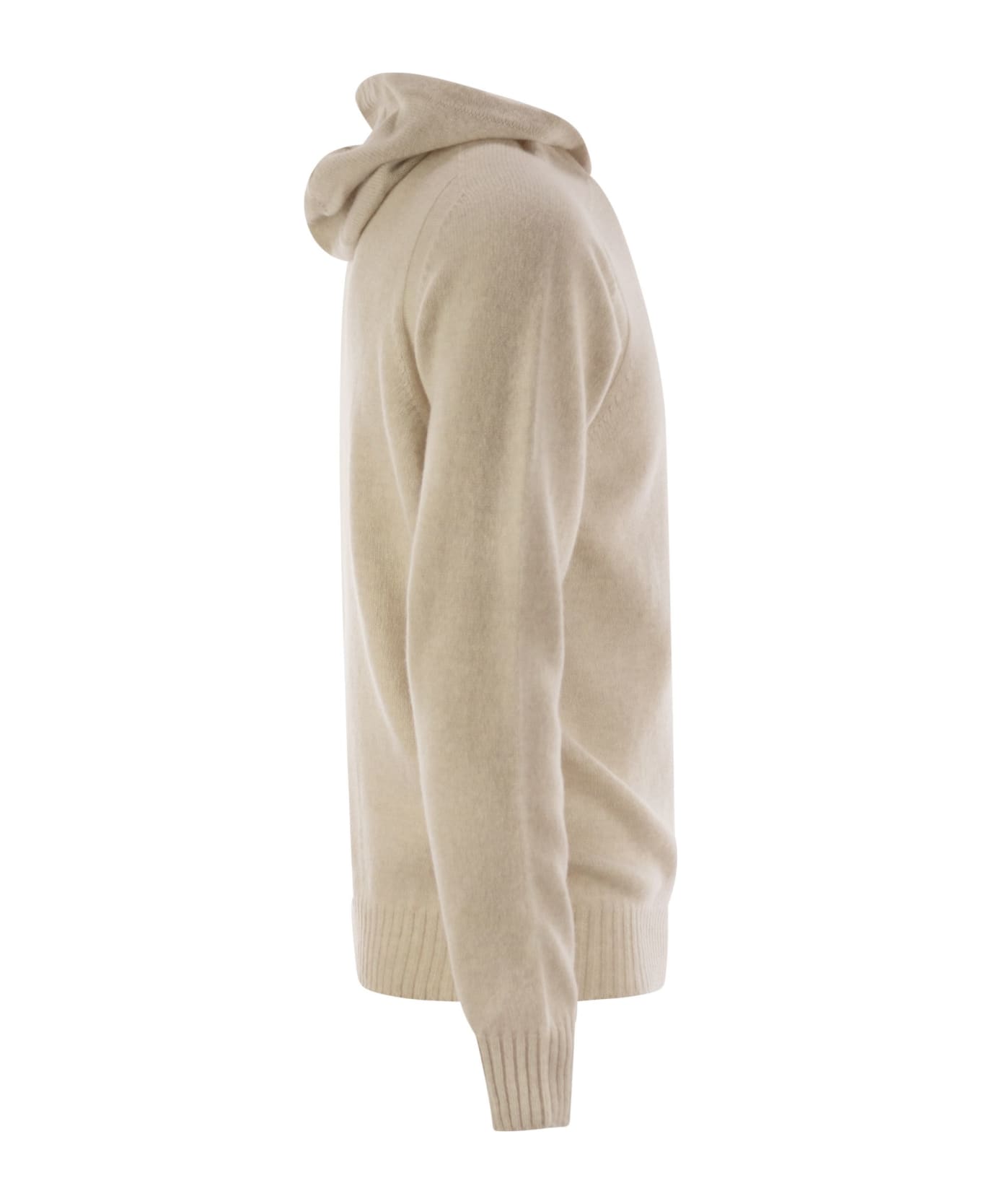 Tagliatore Virgin Wool Sweater With Hood | italist