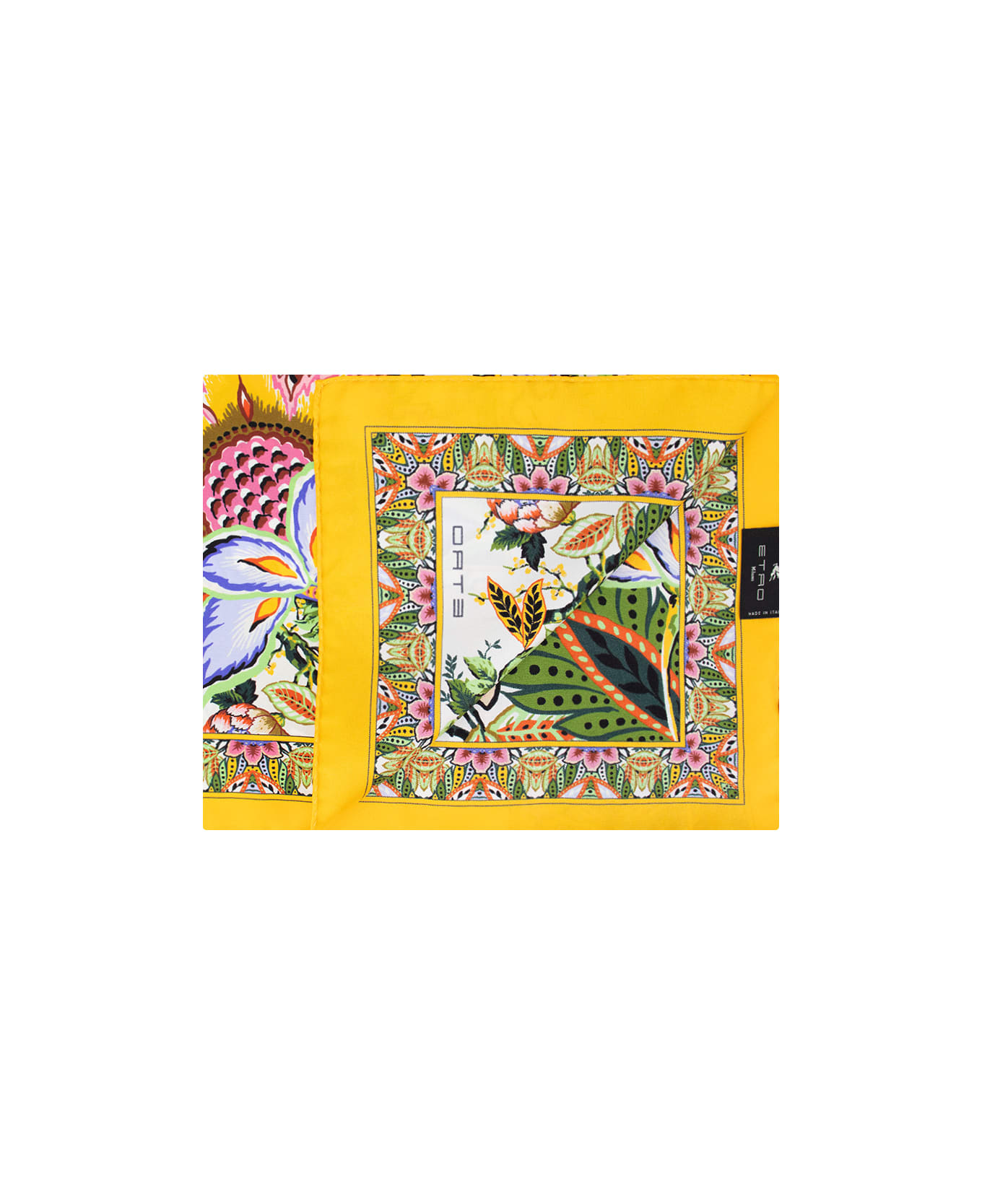 Etro Multicoloured Printed Silk Scarf - Multicolour スカーフ＆ストール