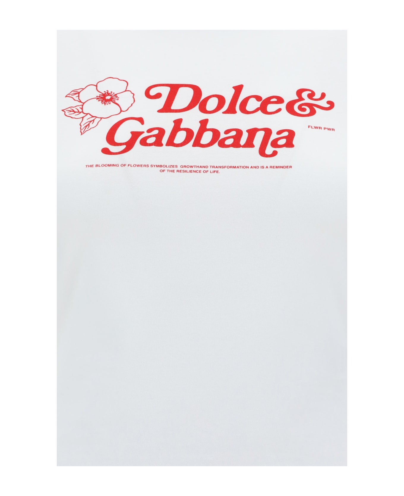 Dolce & Gabbana T-shirt - Bianco Ottico