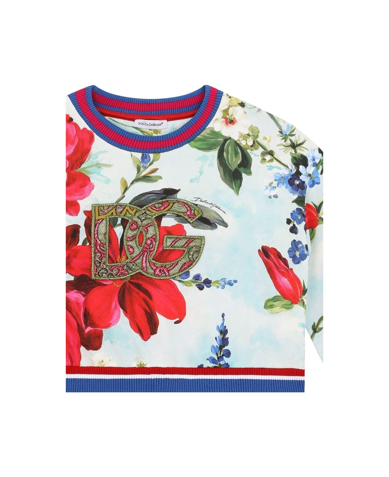 Dolce & Gabbana Sweatshirt - MULTICOLOUR