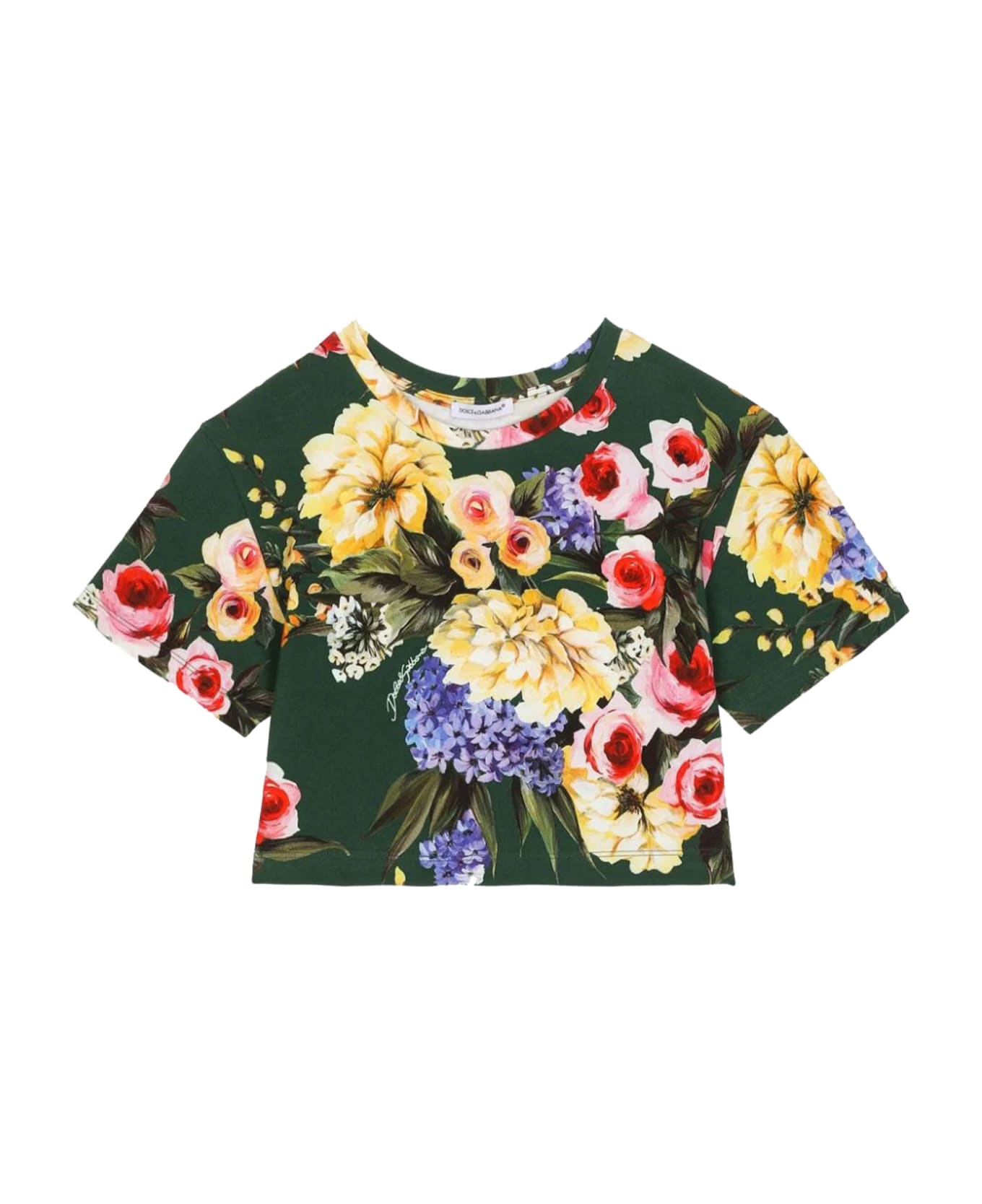Dolce & Gabbana T-shirt With Garden Print - Multicolor