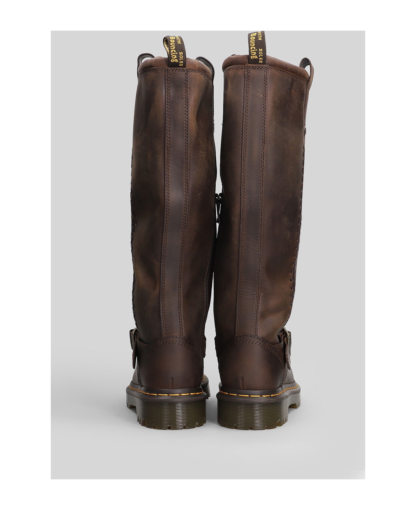 Dr. Martens Anistone Low Heels Boots In Brown Leather - brown