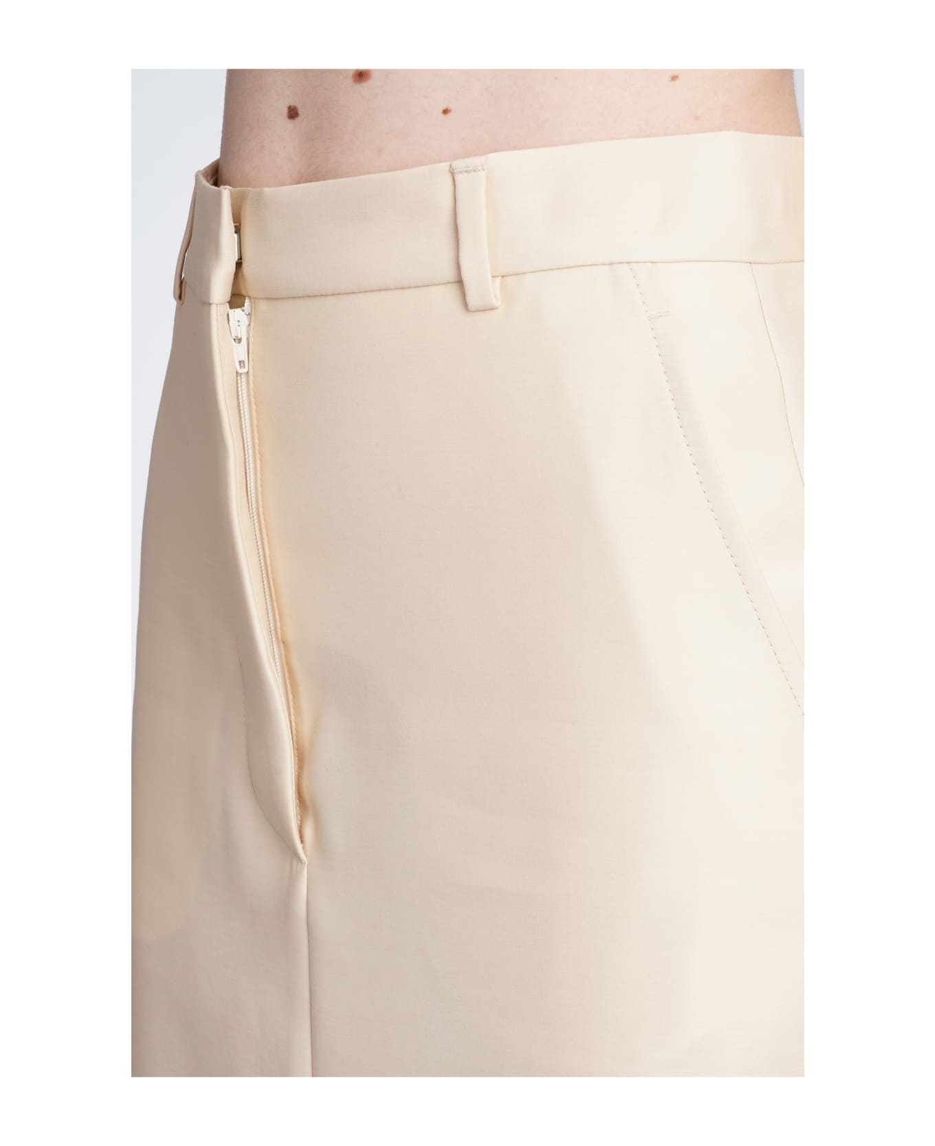 Lanvin Long Skirt