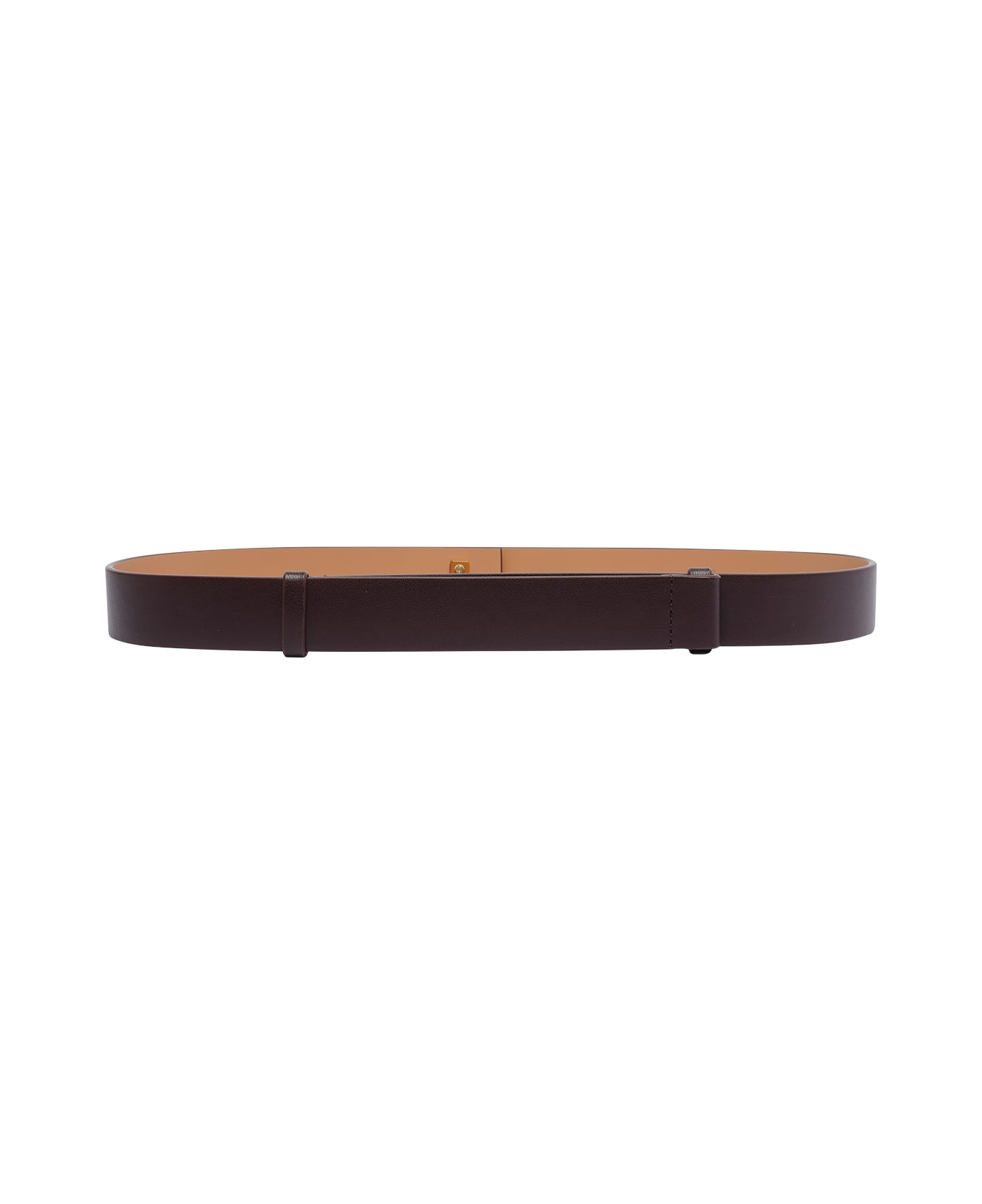 Elisabetta Franchi Logo Belt - Brown