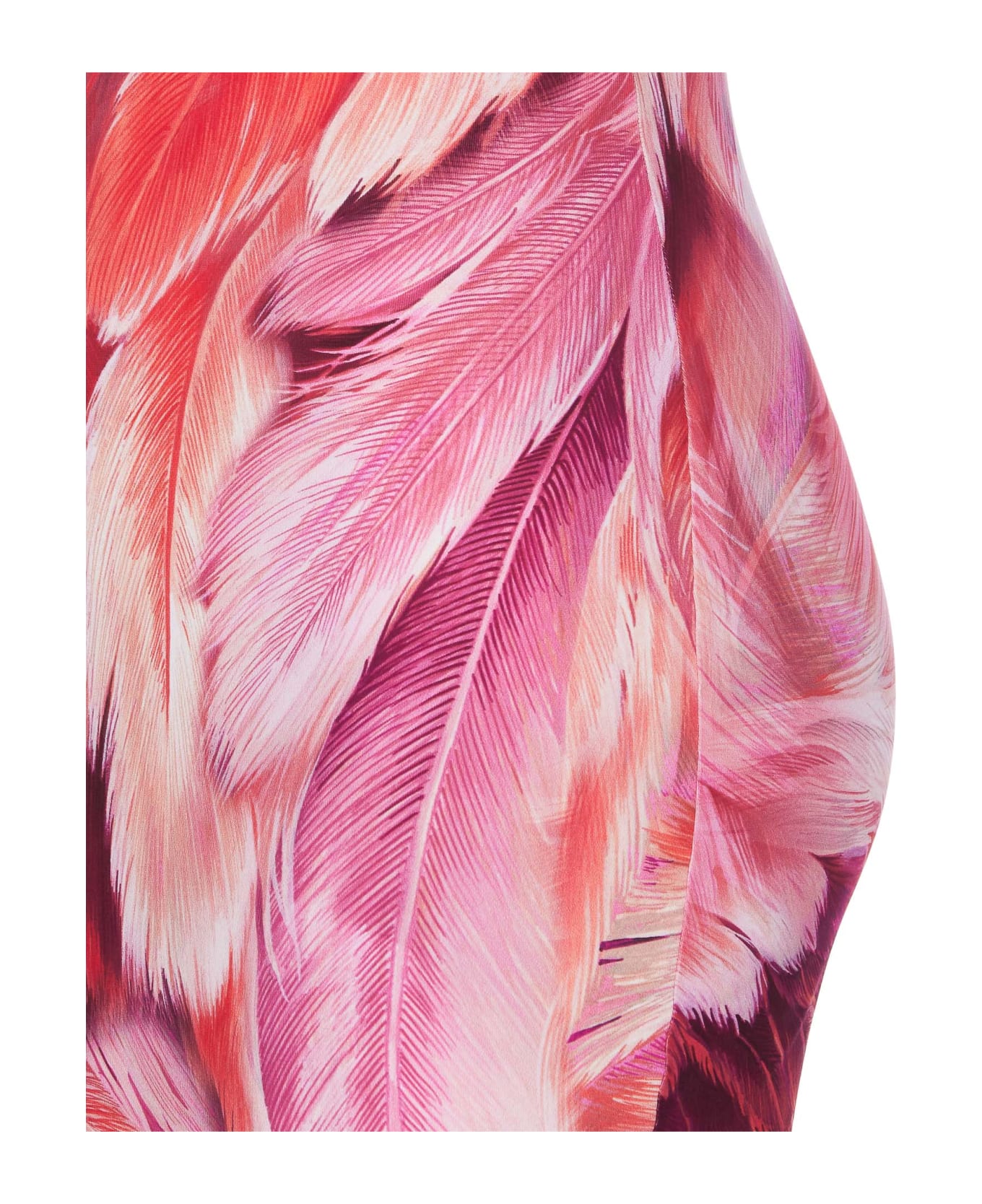 Roberto Cavalli Plumage Print Dress - PINK