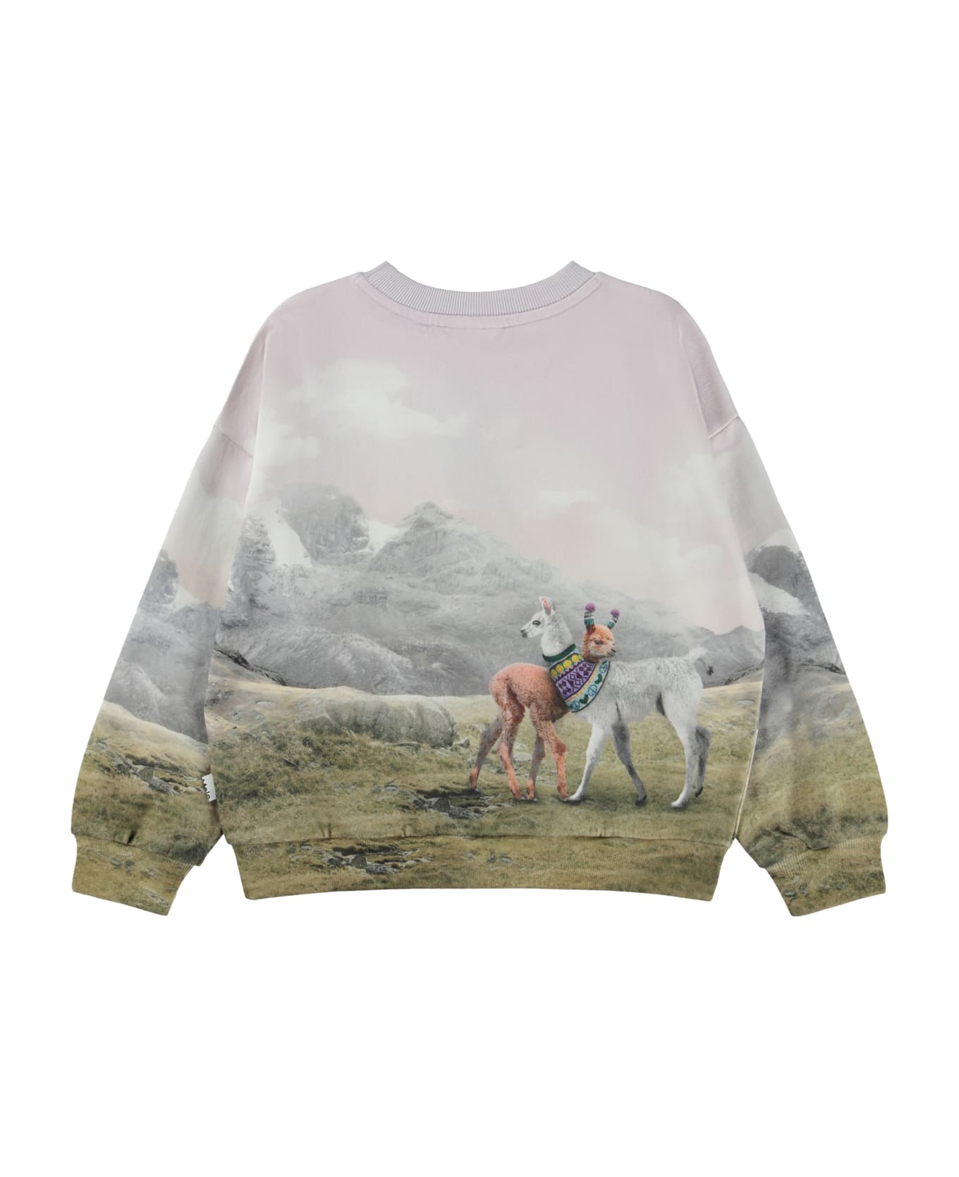 Molo Multicolor Sweatshirt Girl Kids - Multicolor ニットウェア＆スウェットシャツ