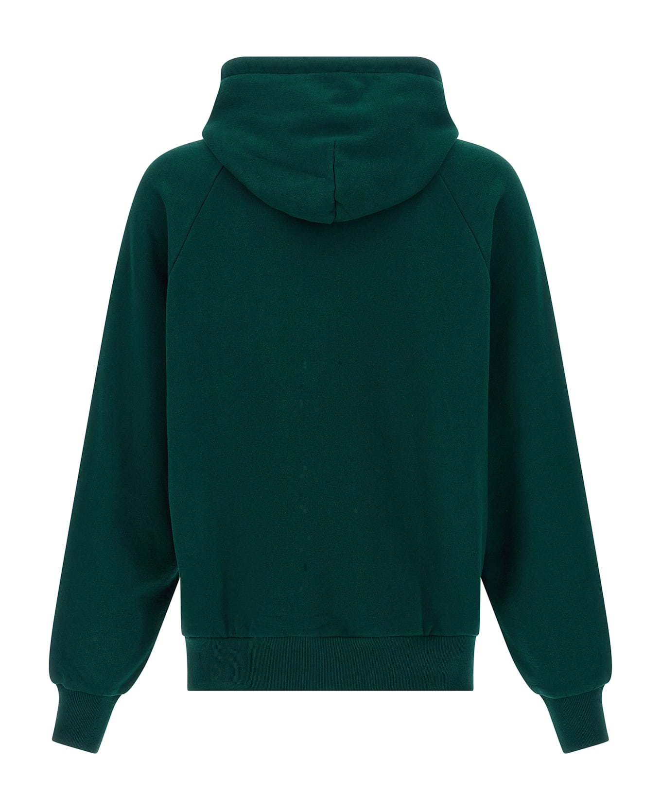 Carhartt 'ray' Hoodie - Green