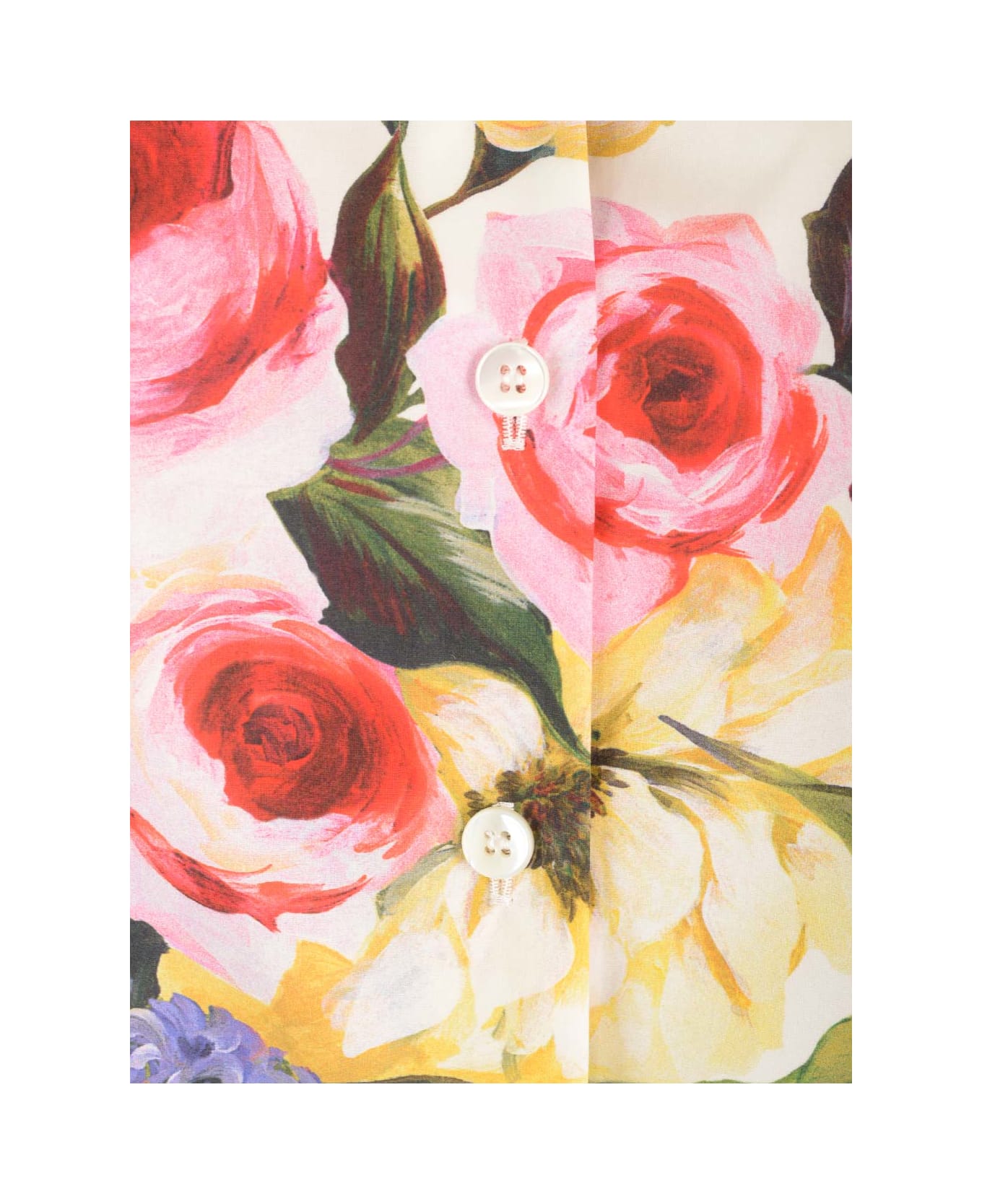 Dolce & Gabbana Floral Print Cotton Shirt - dolce gabbana exclusive to mytheresa pomegranate print silk scarf