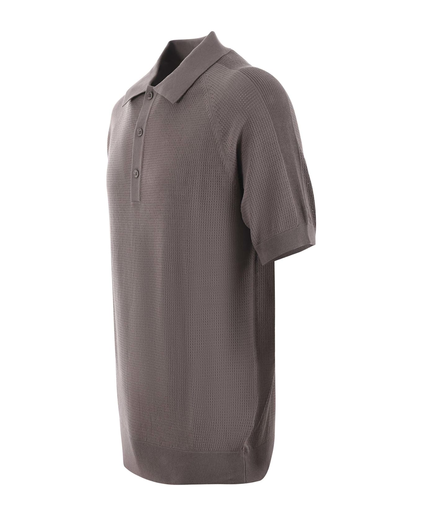 Paolo Pecora Polo Shirt In Cotton Thread - Tortora