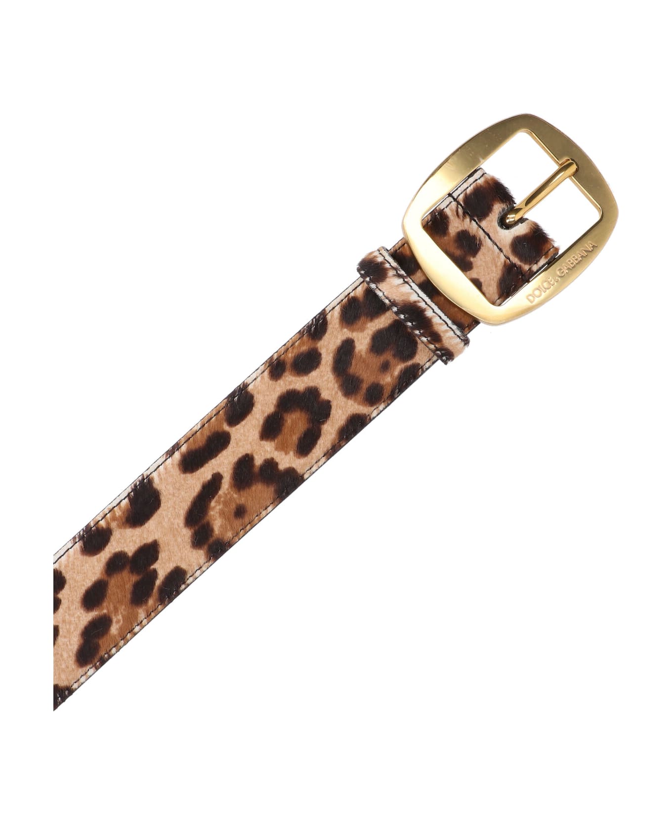 Dolce 
Gabbana Animalier Printed Belt - Multicolor
