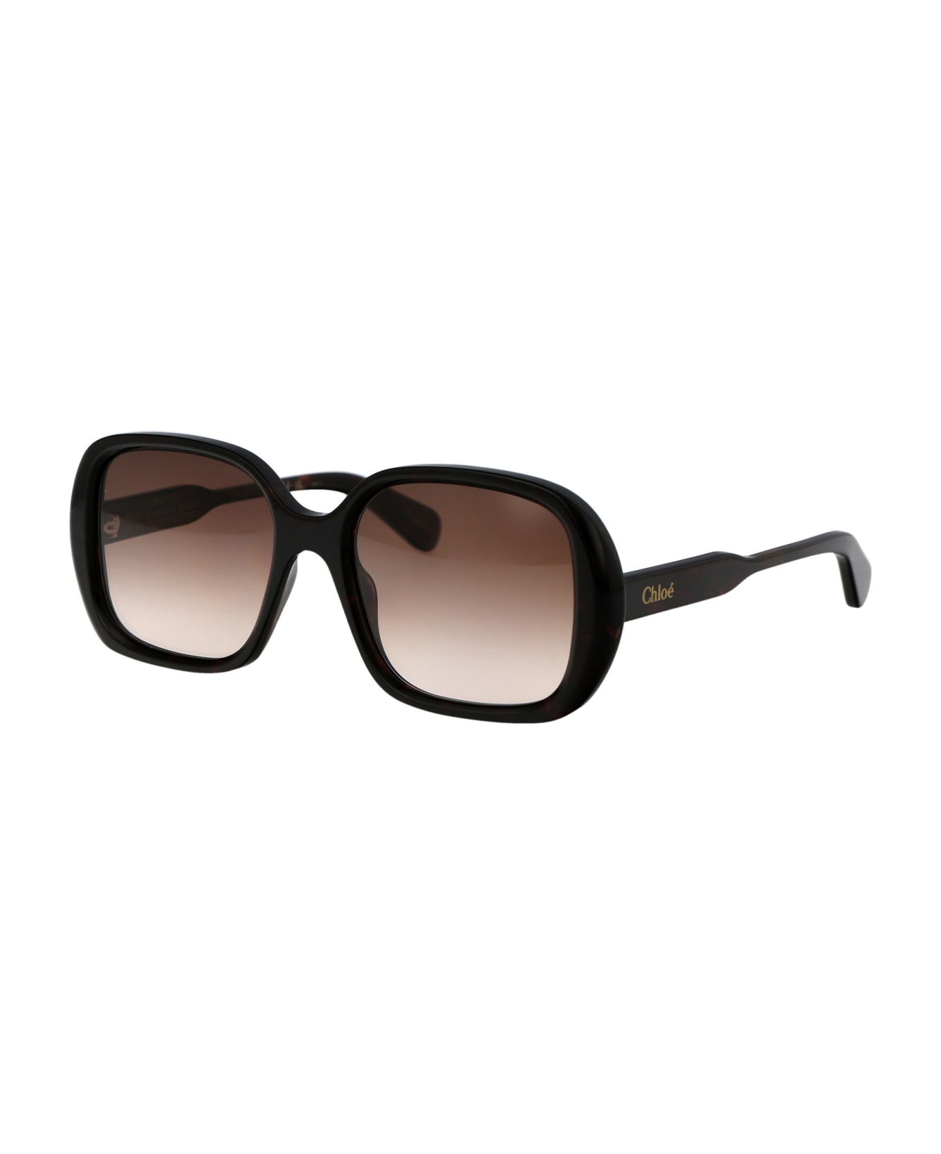 Chloé Eyewear Ch0222s Sunglasses - 002 HAVANA HAVANA BROWN