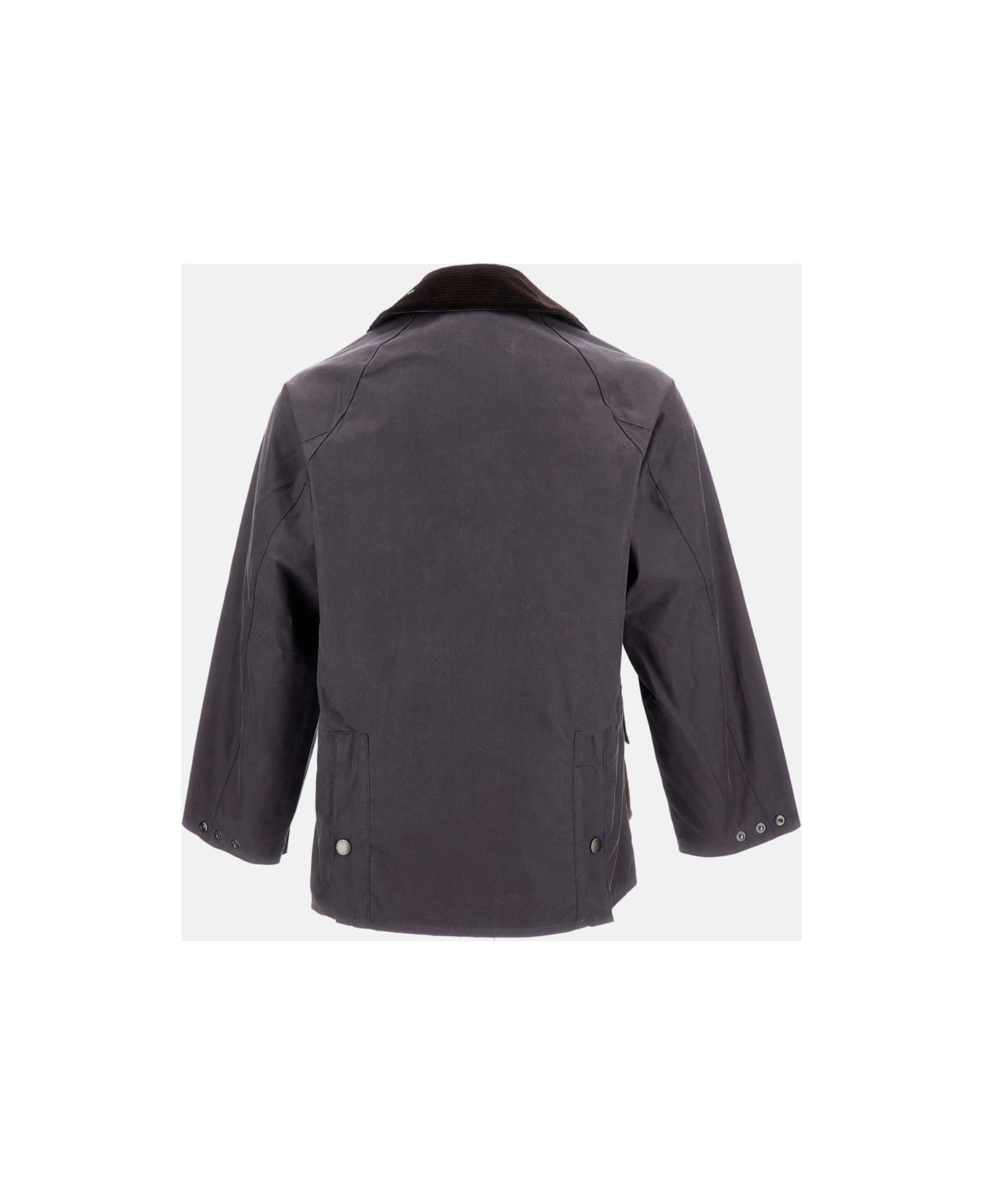 Barbour Paul Smith Love Barbour - Purple