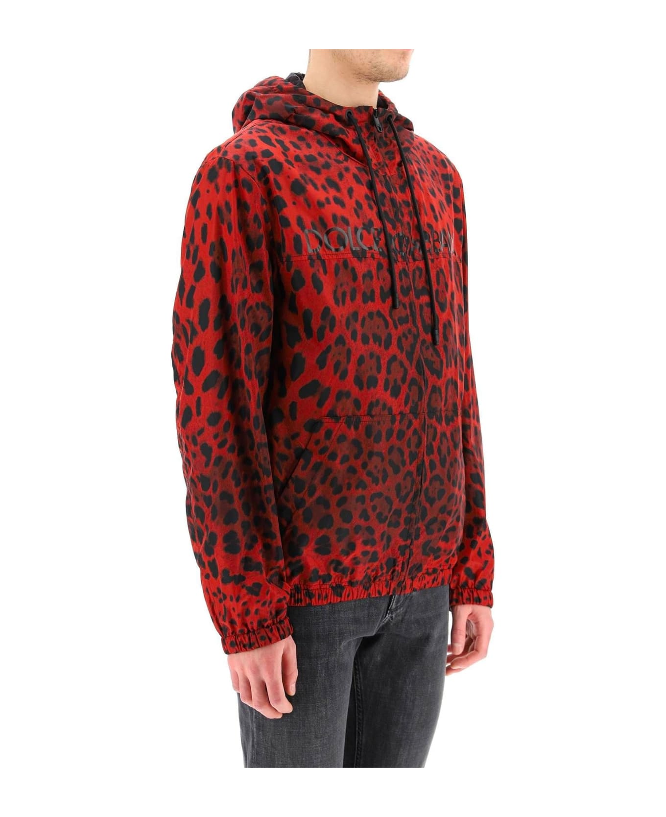 Dolce & Gabbana Jacket With Animal Print - Red