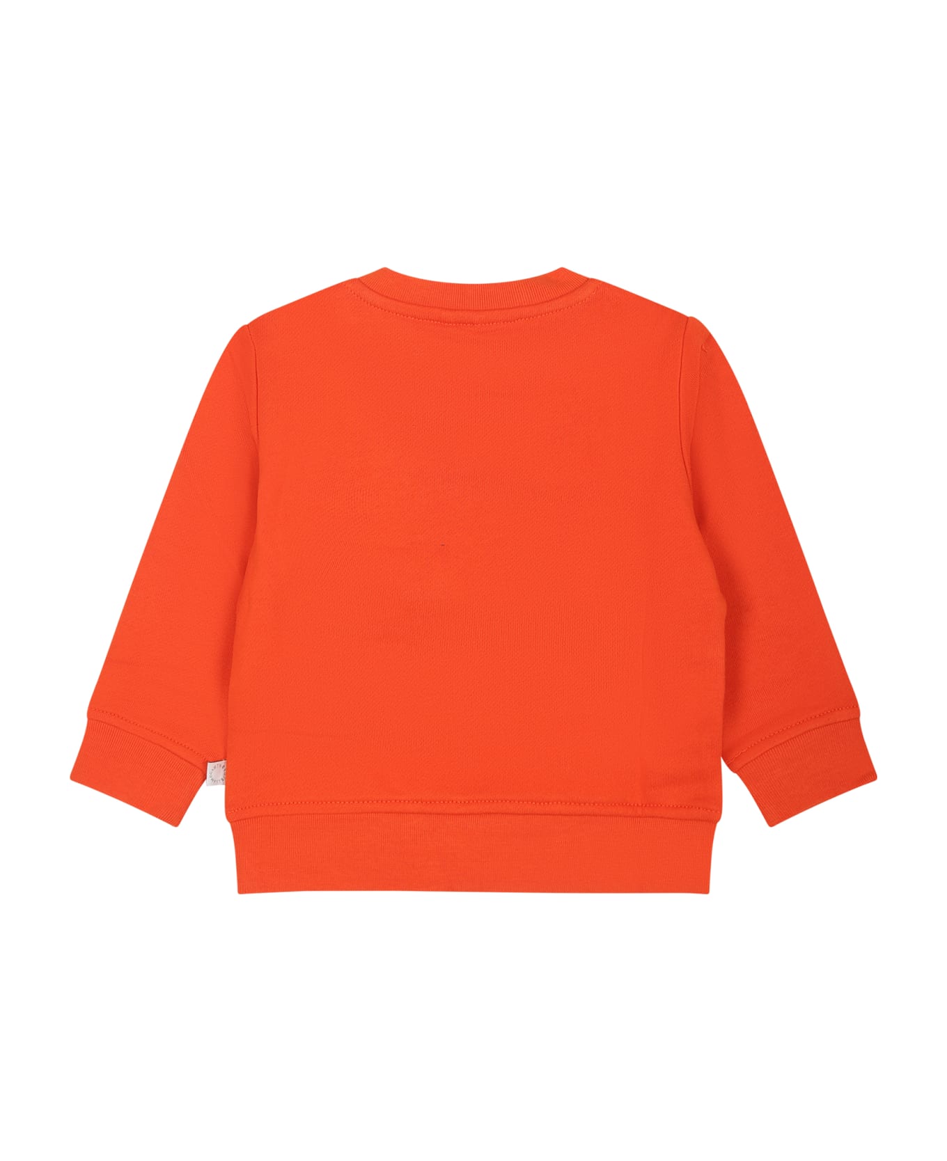 Stella McCartney Kids Orange Sweatshirt For Baby Girl With Flowesr And Logo - Orange