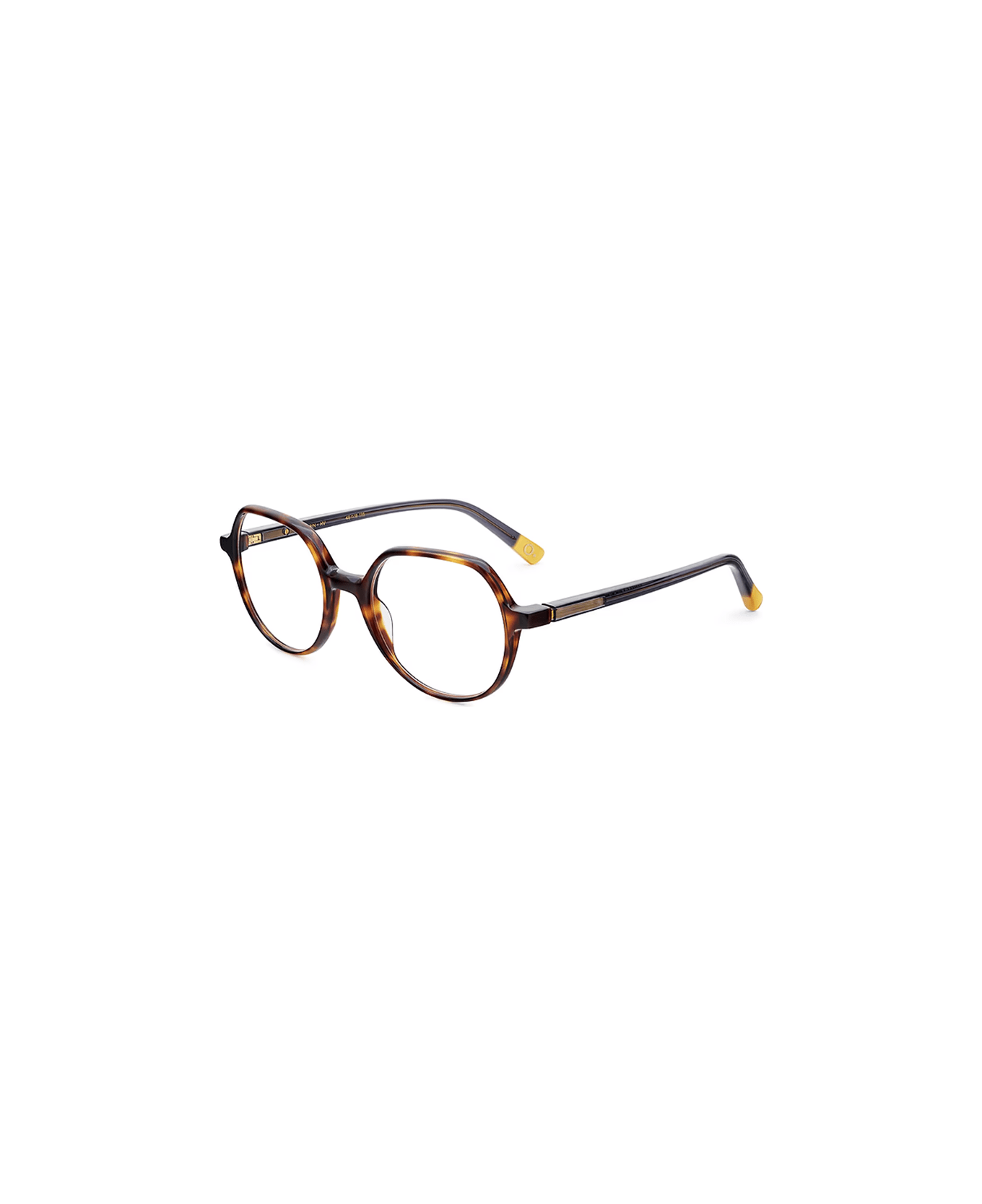 Etnia Barcelona Glasses - Havana