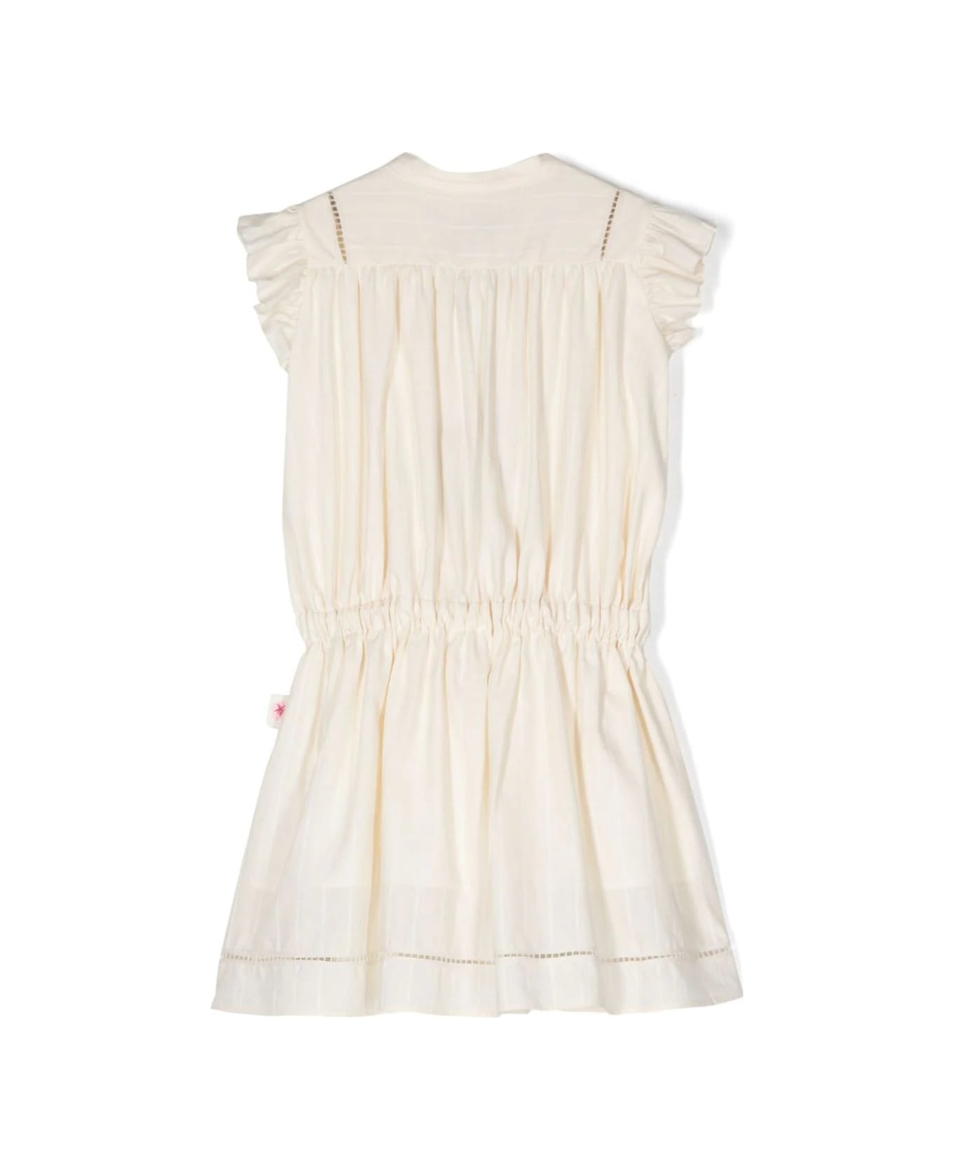 Etro Beige Pinstripe Dress With Ruffles And Embroidery - Brown