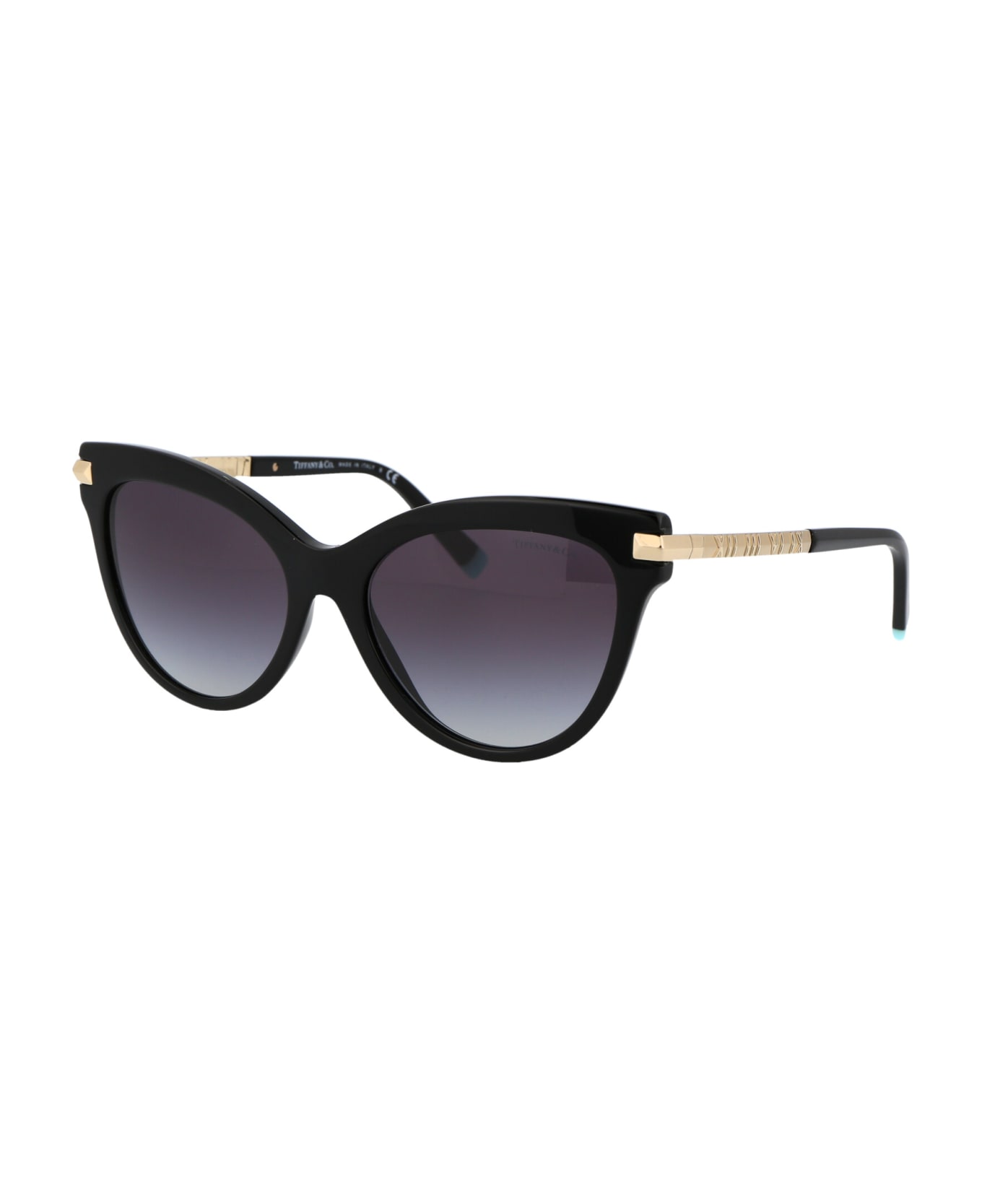 Tiffany & Co. 0tf4182 duoltd Sunglasses - 80013C Black