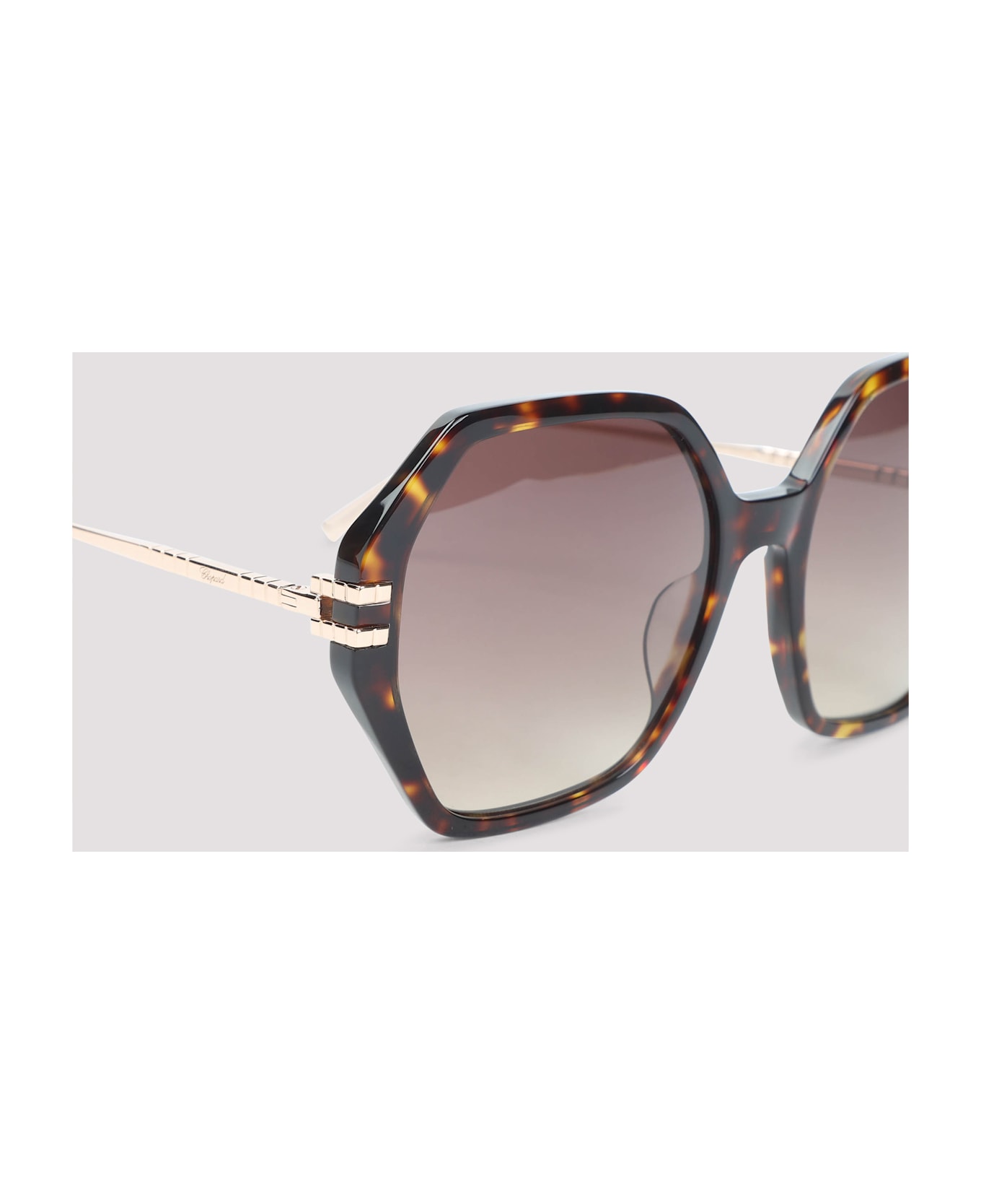 Chopard Acetate Sunglasses - Bl Brown