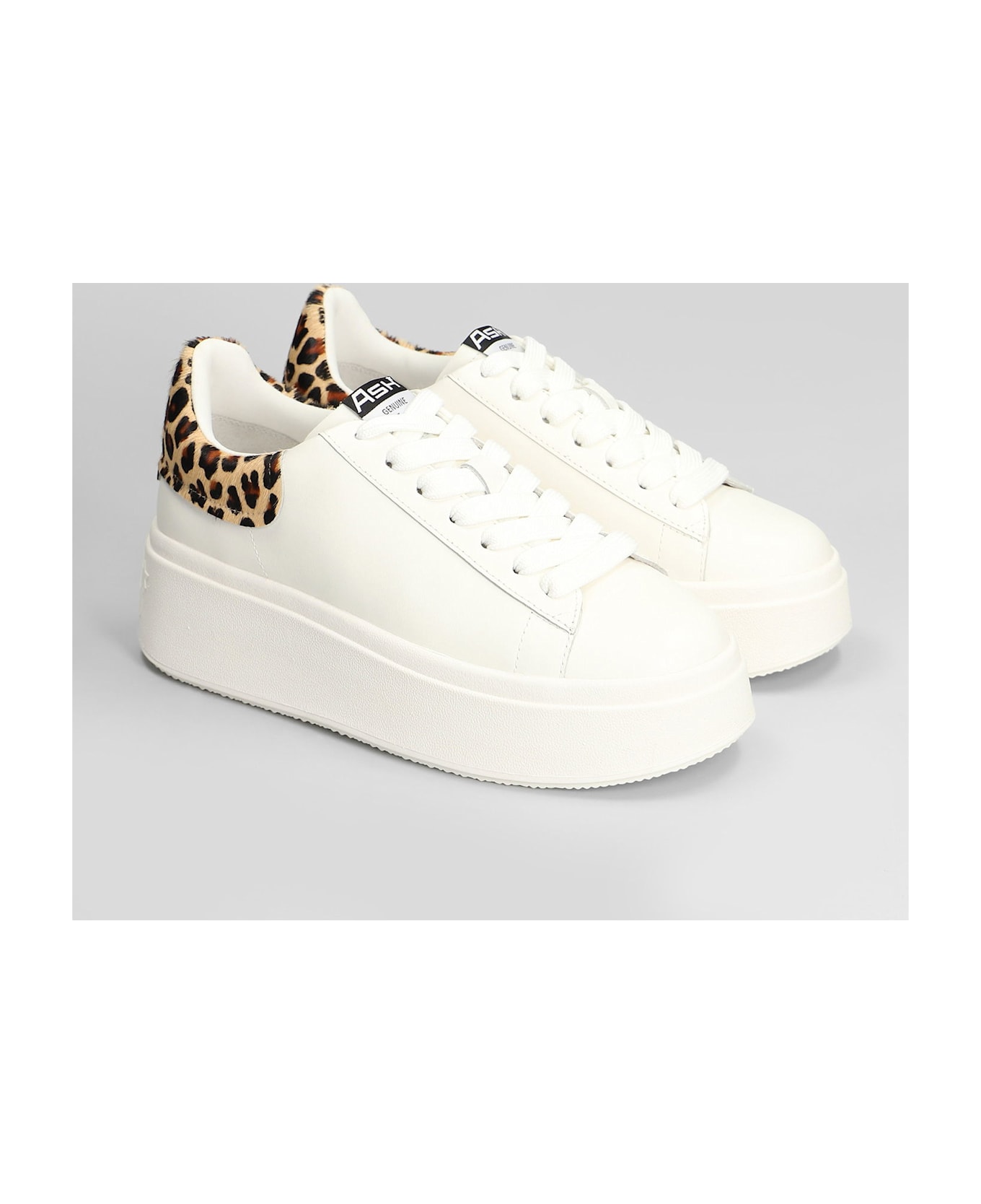 Ash Moby Sneakers In White Leather - white