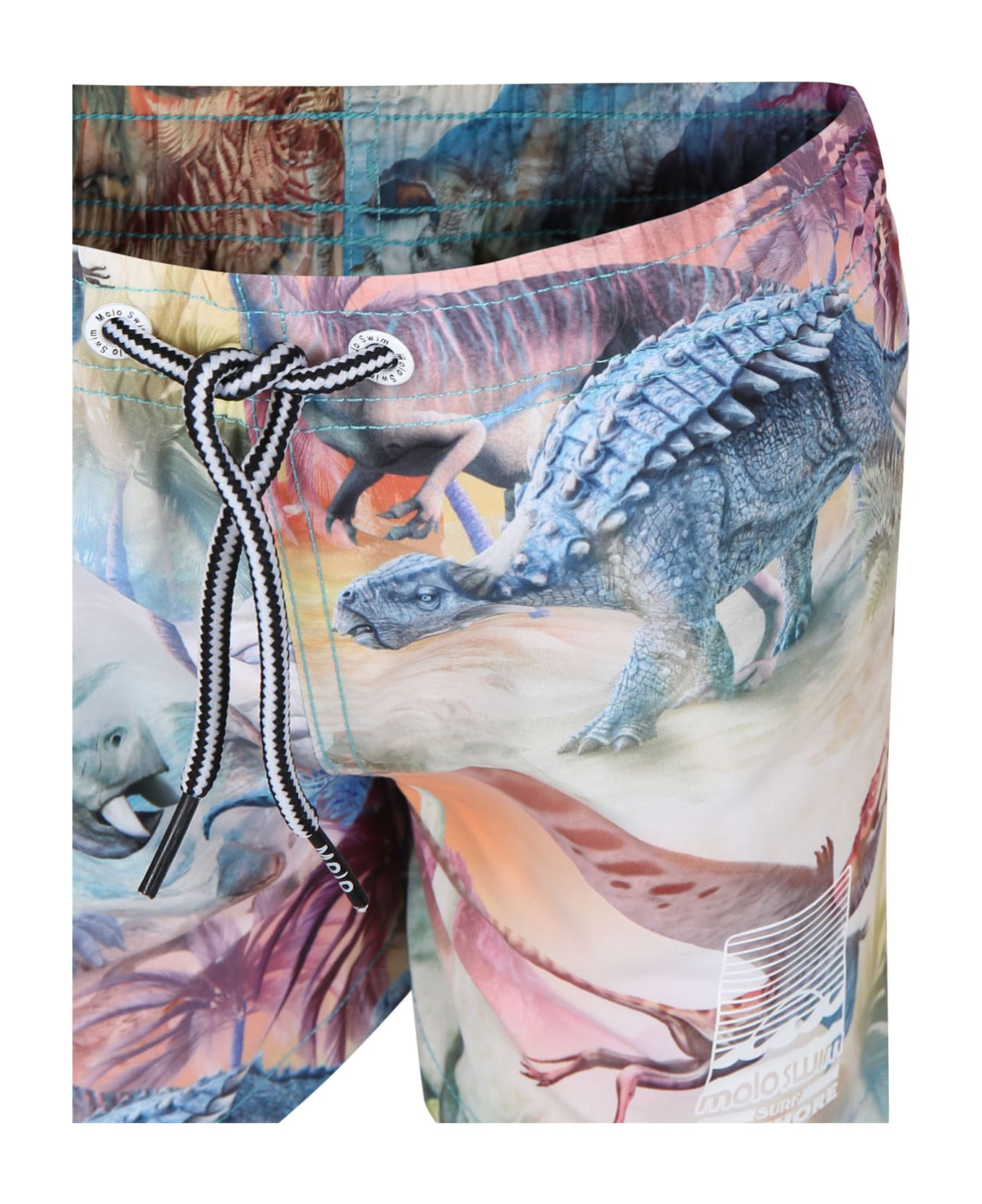 Molo Multicolor Swim Shorts For Boy With Dinosaur Print - Multicolor 水着