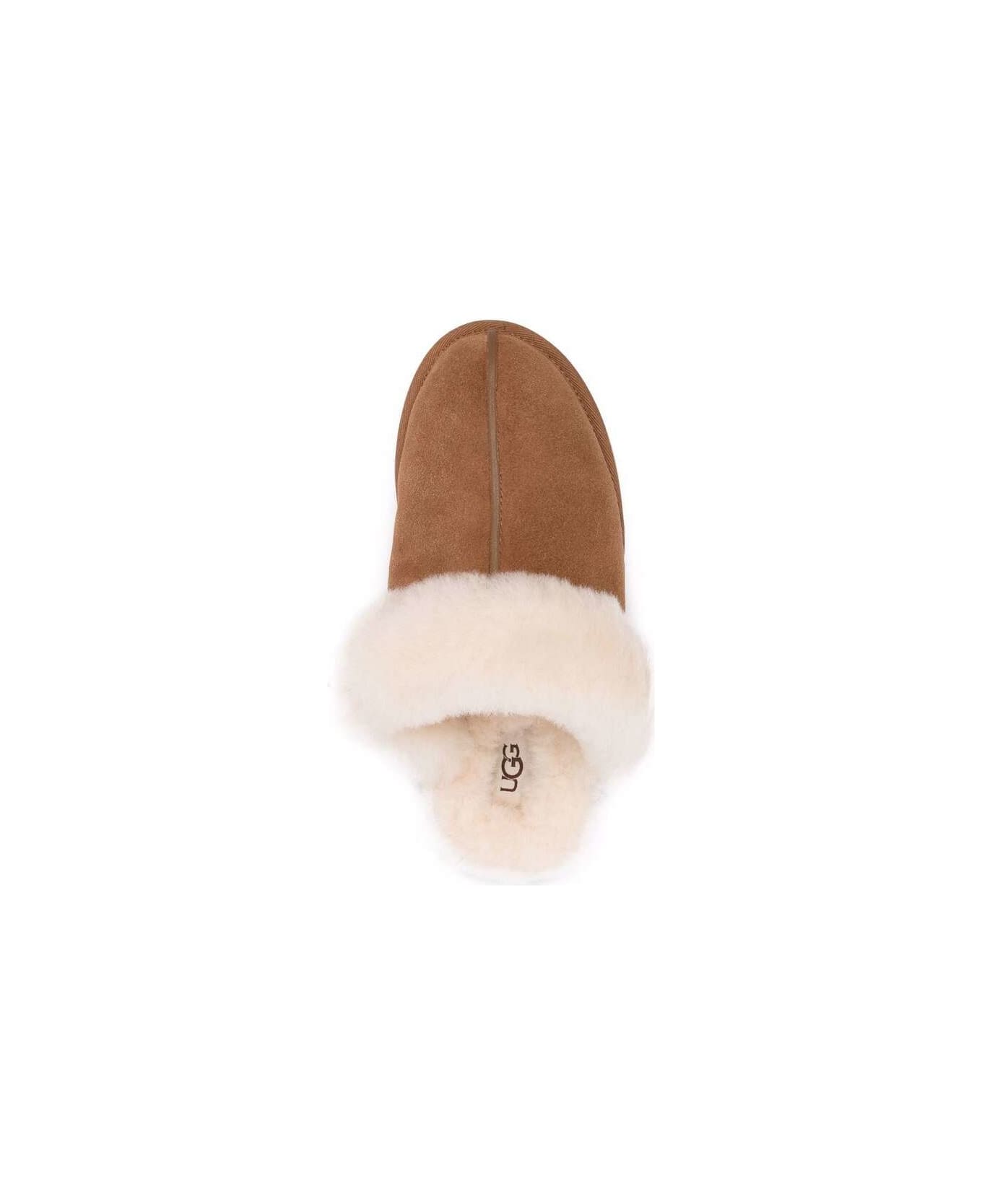 UGG Shoes - BROWN