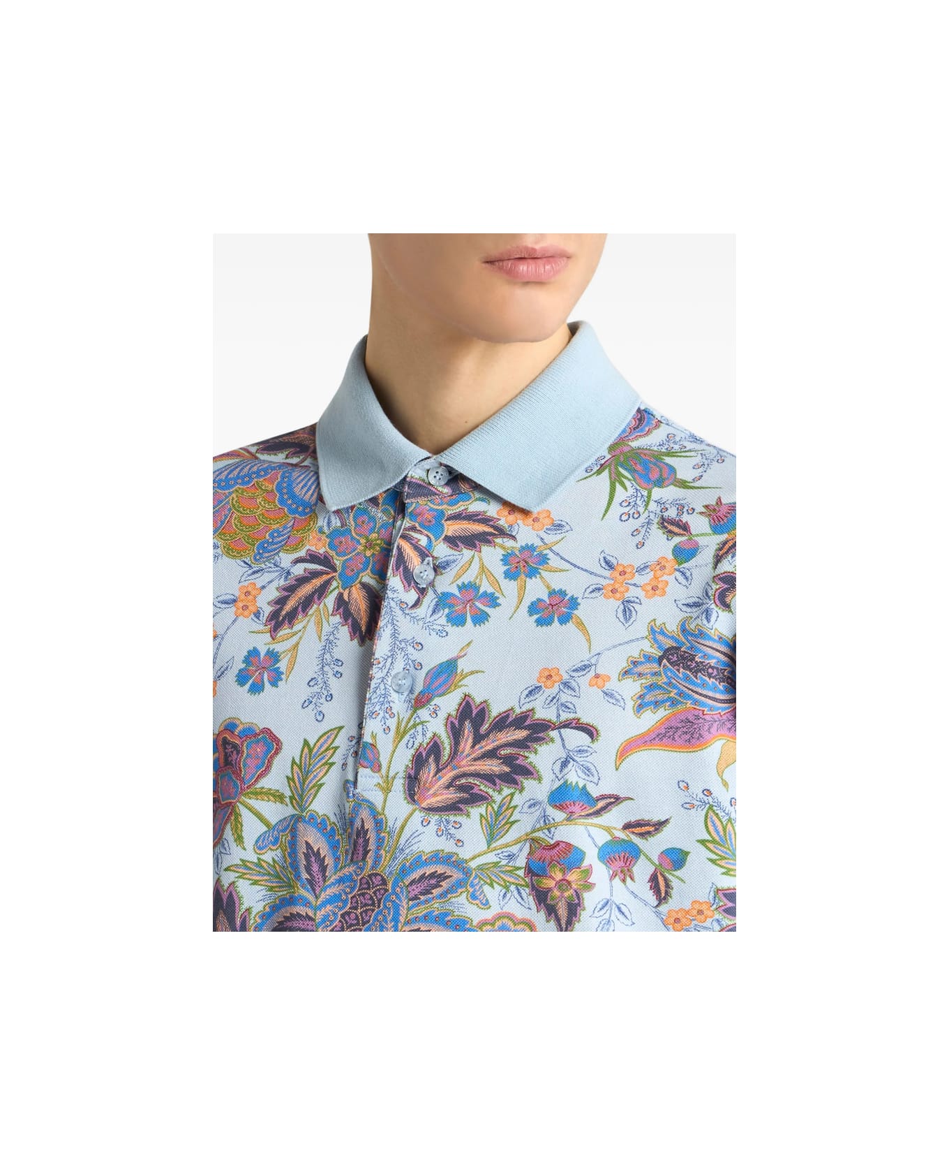 Etro Sweater - BLUE/PINK