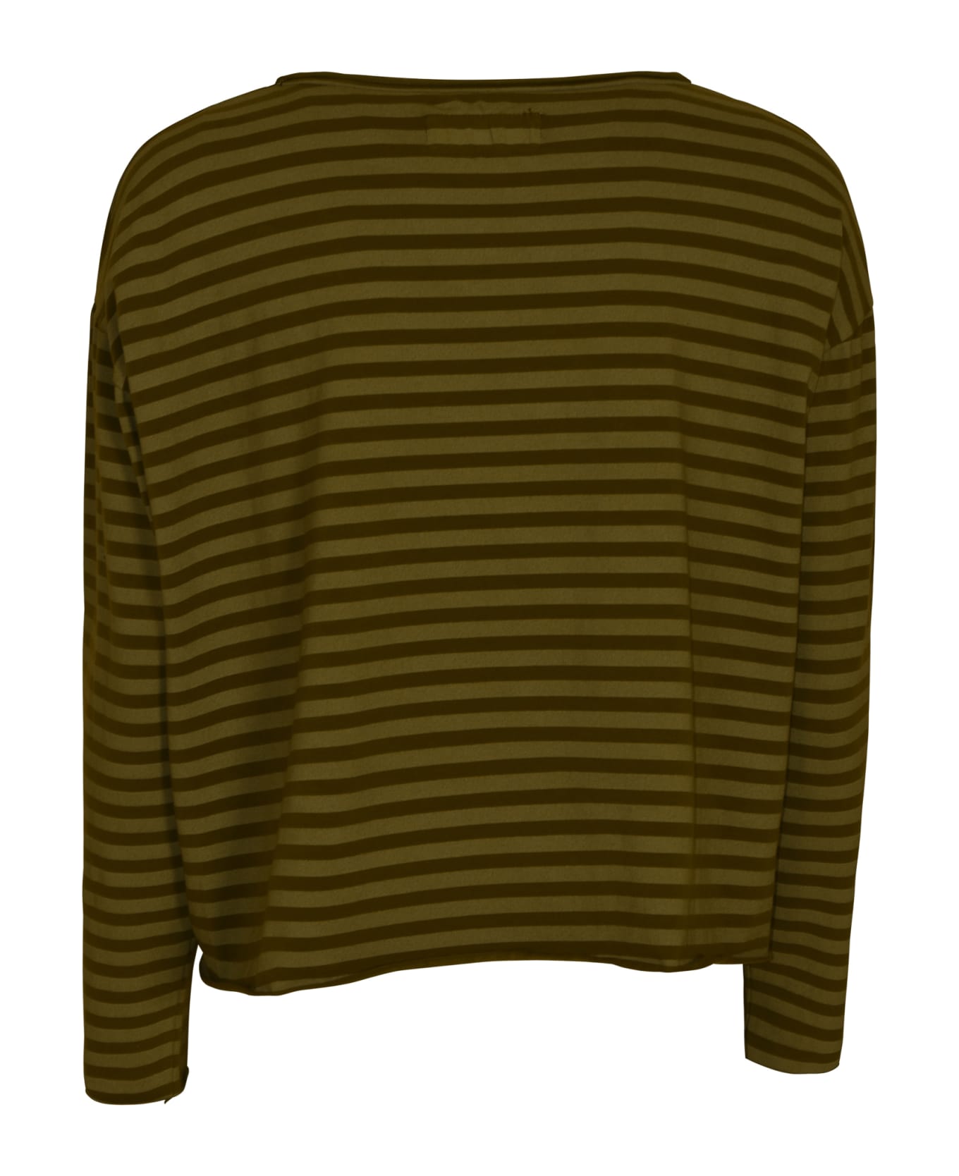 Labo.Art Stripe Sweatshirt - Lizard