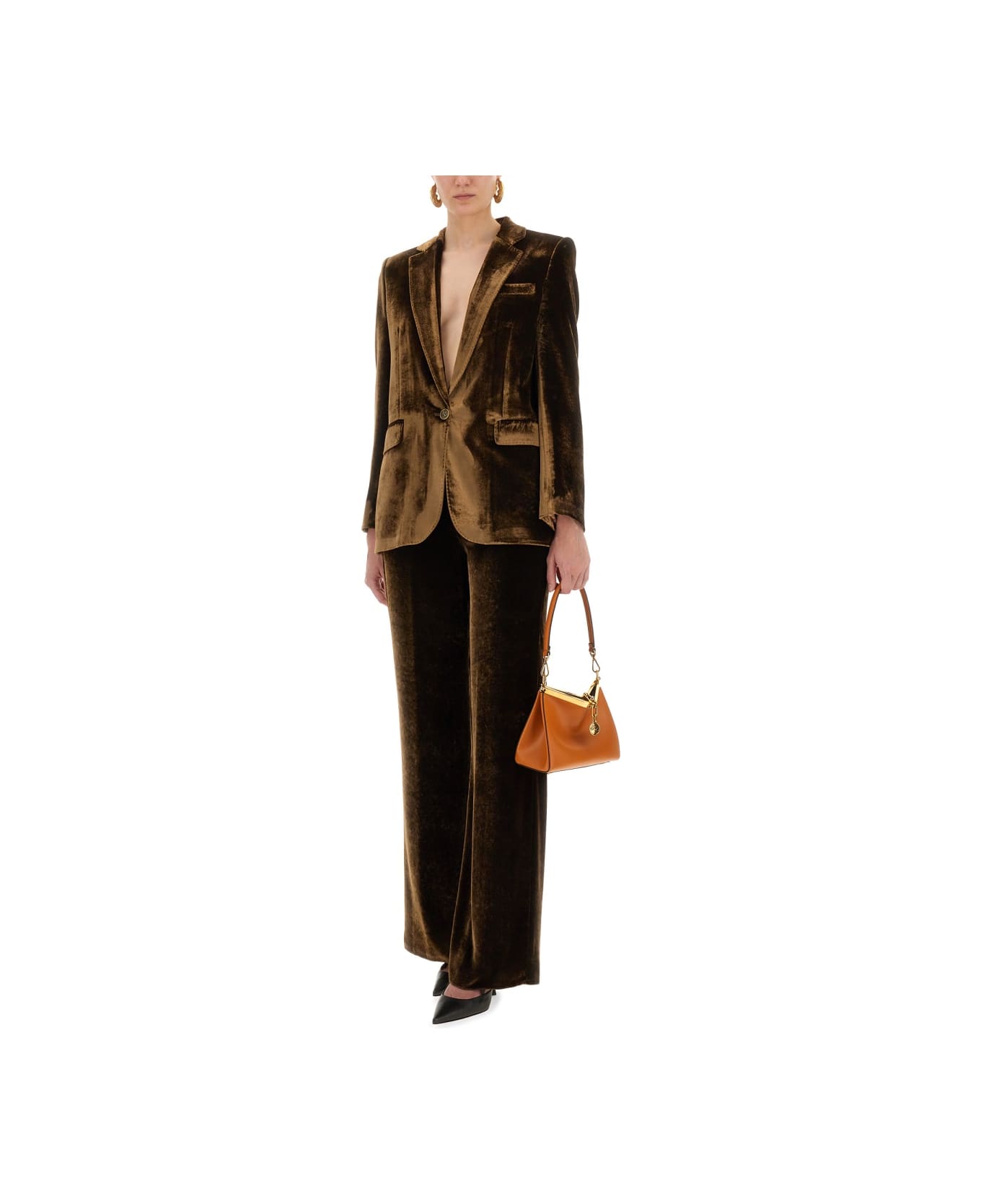 Etro Velvet Pants - BROWN