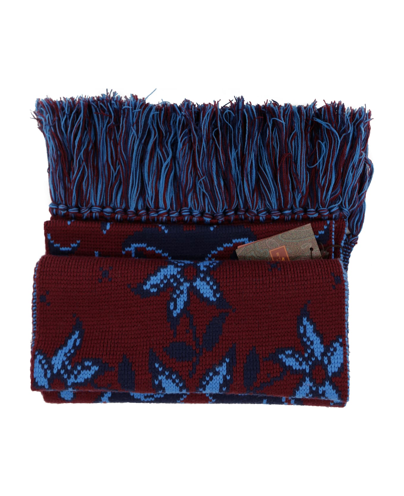 Etro Jacquard Scarf With Fringes - Purple