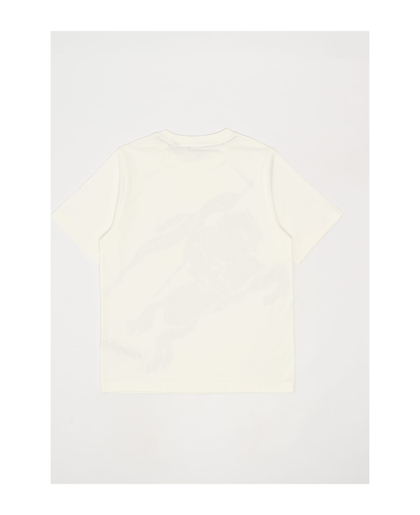 Burberry Cedar T-shirt T-shirt - BIANCO-BLUETTE