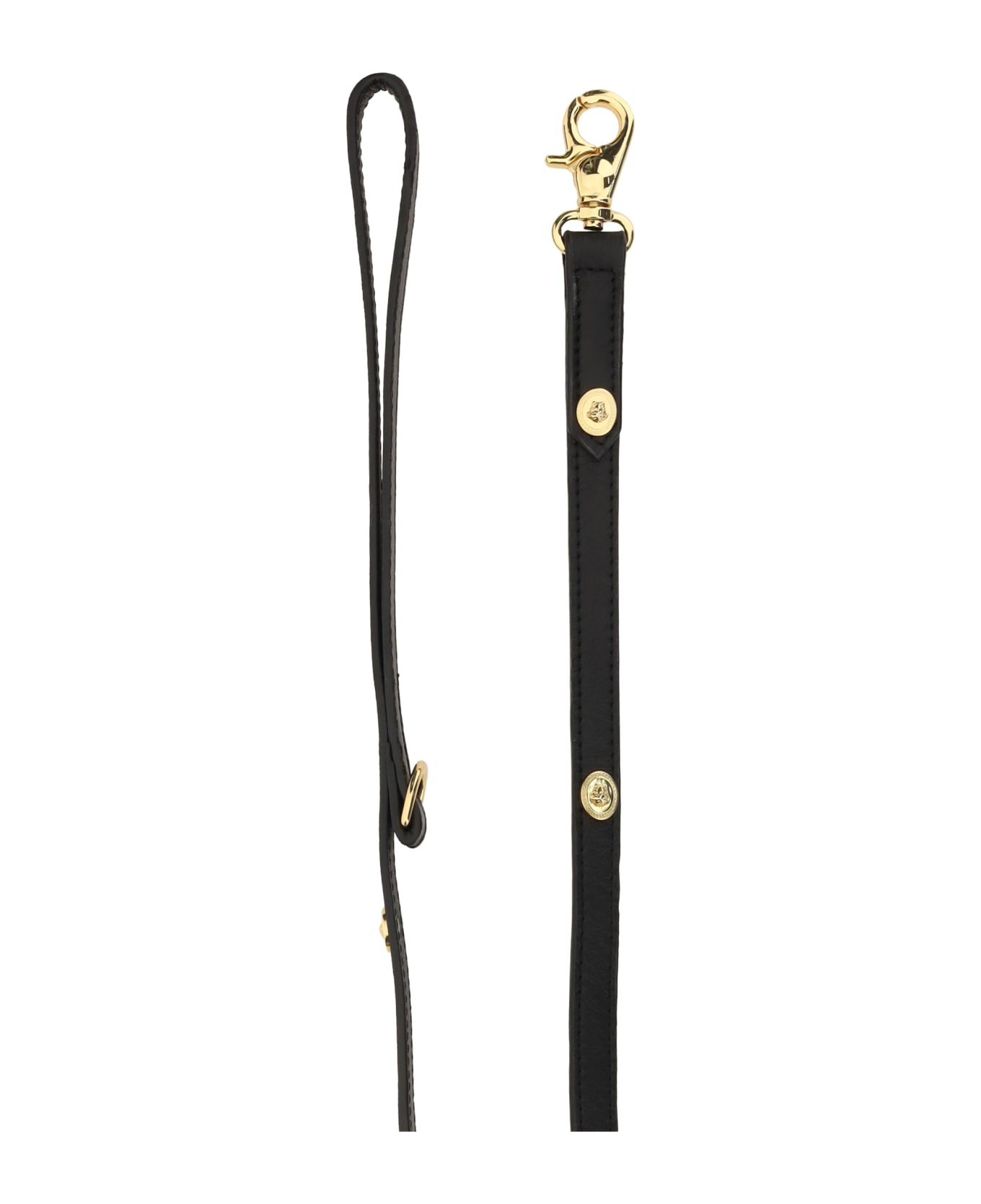 Versace Dog Leash - Black