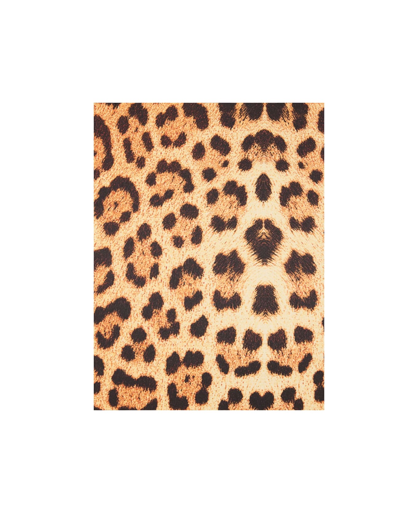 Roberto Cavalli Dress - BROWN