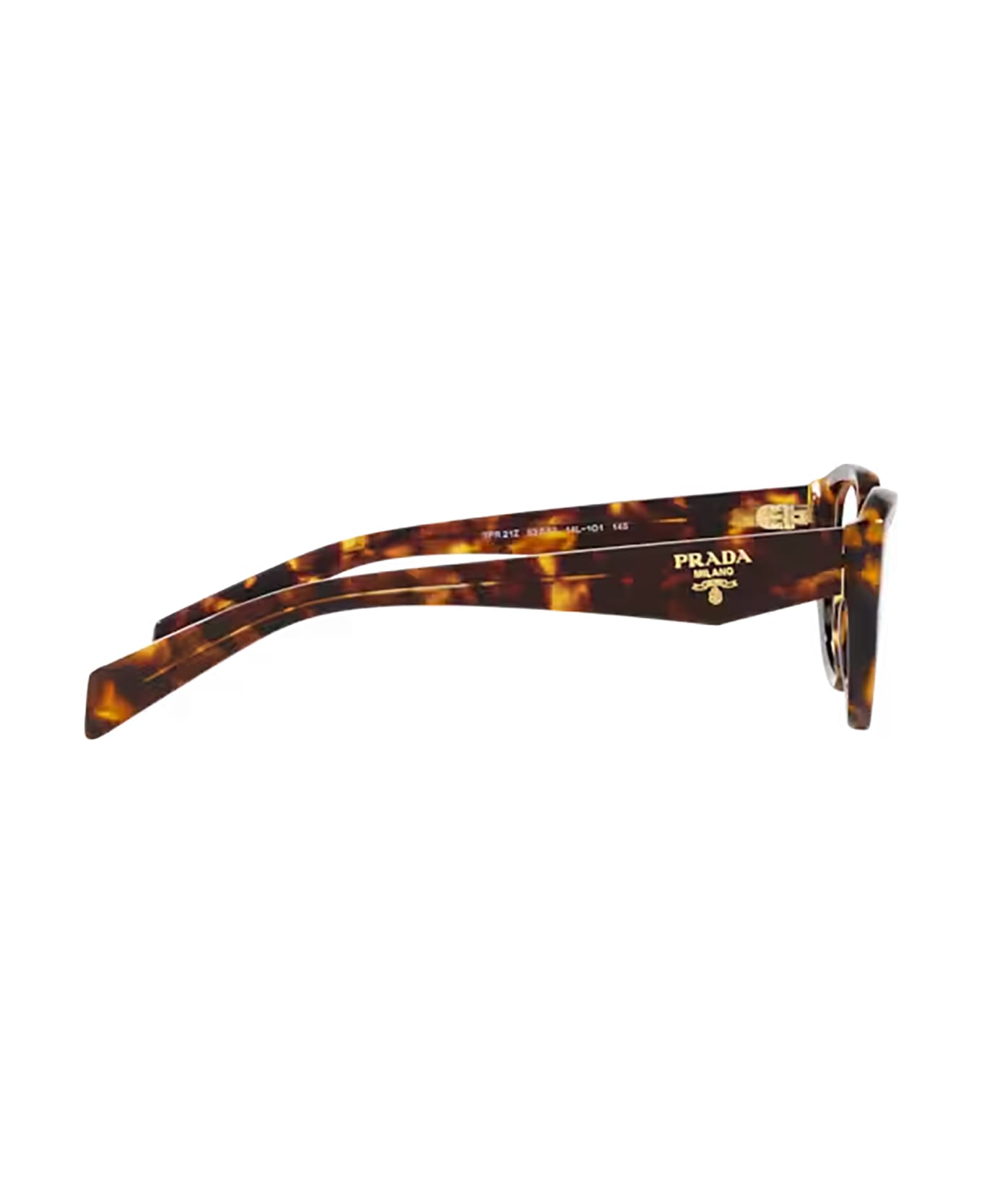 Prada Eyewear Pr 21zv Honey Tortoise Glasses - Honey Tortoise アイウェア