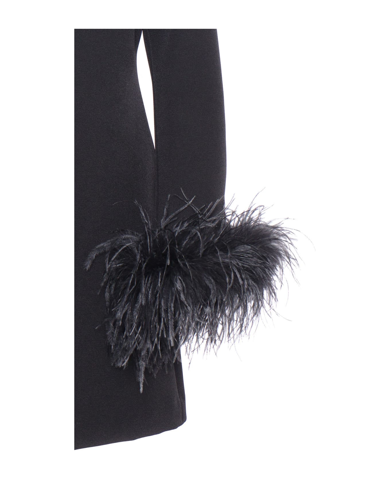 Parosh Feathers Embellished Dress - BLACK