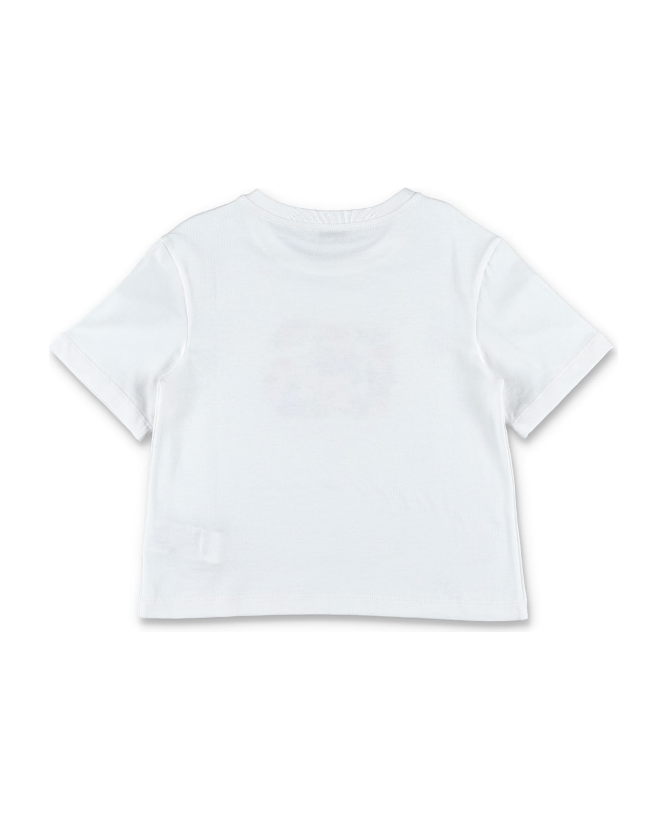 Dolce & Gabbana Cotton Garden Print T-shirt - WHITE