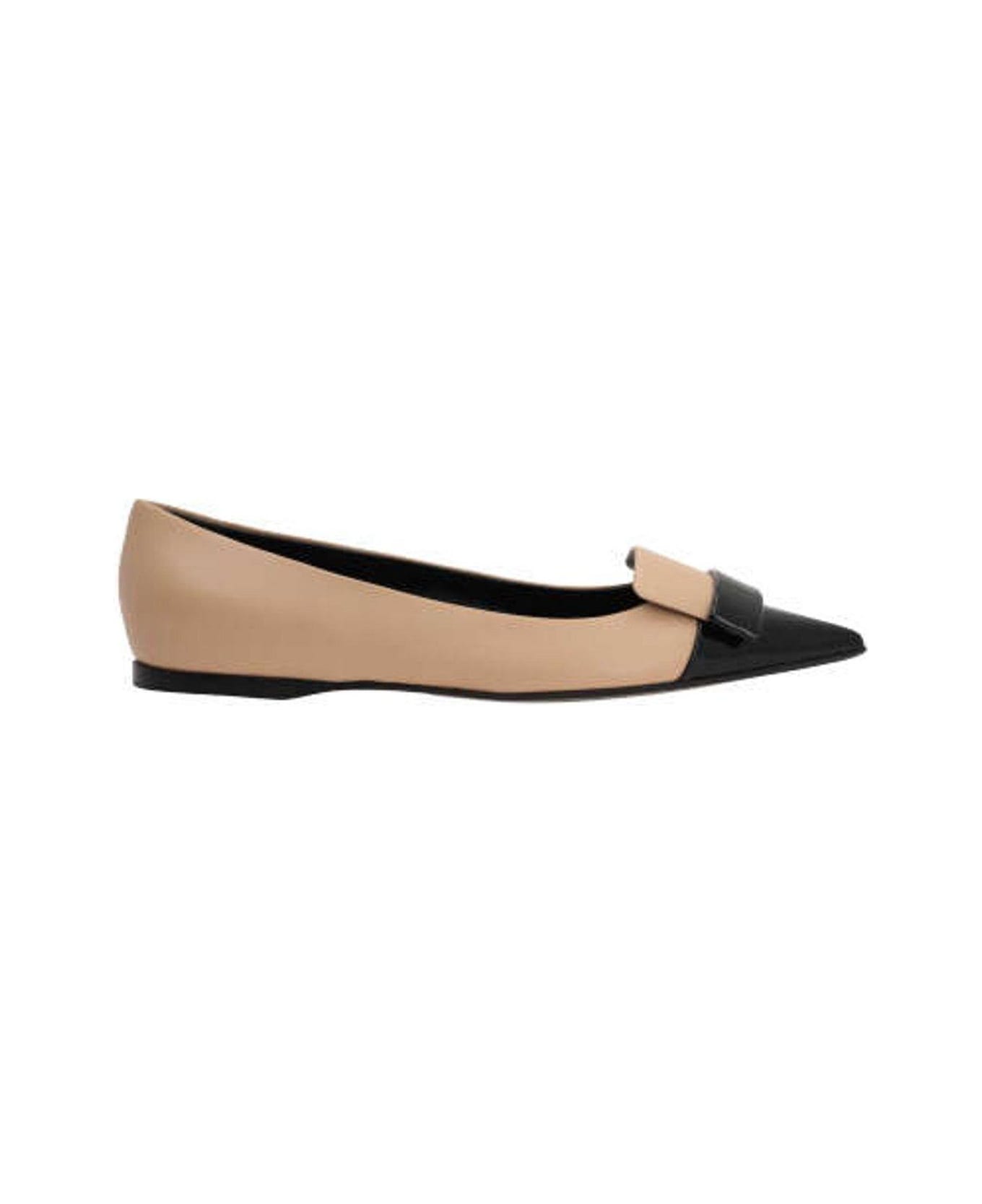 Sergio Rossi Pointed-toe Slip-on Flat Shoes - Beige