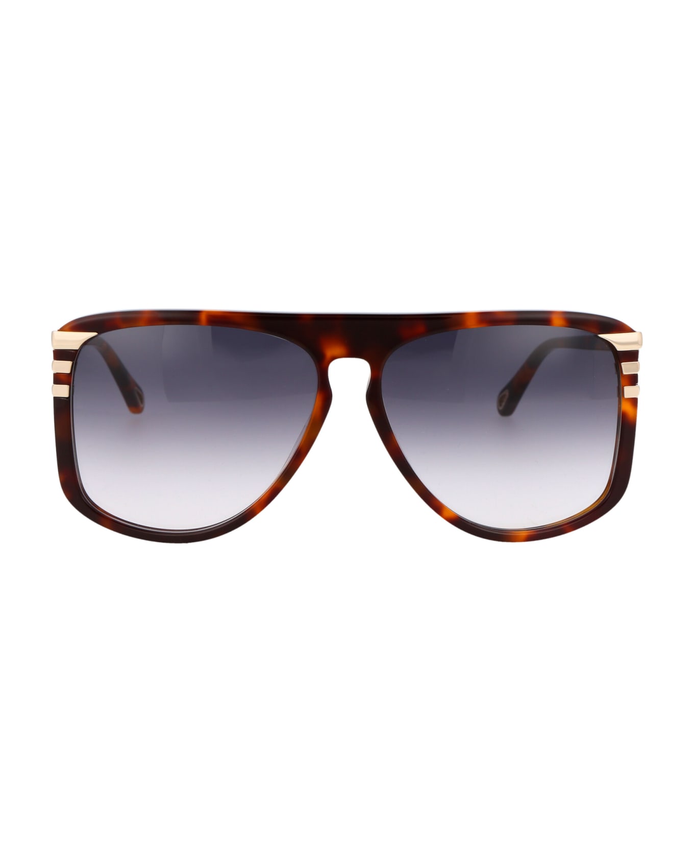 Chloé Eyewear Ch0104s Sunglasses - 004 HAVANA HAVANA GREY サングラス