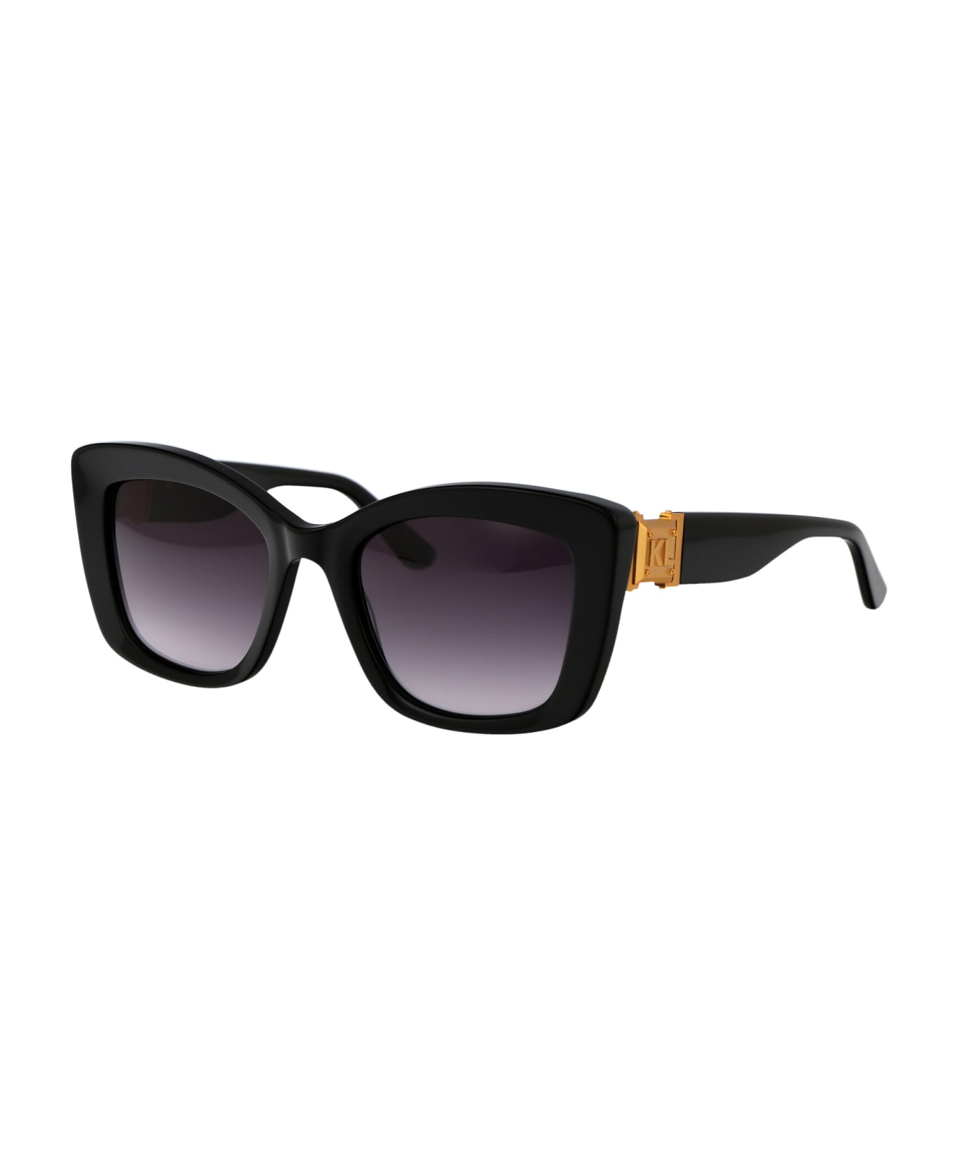 Karl Lagerfeld Kl6139s Sunglasses - 001 BLACK サングラス